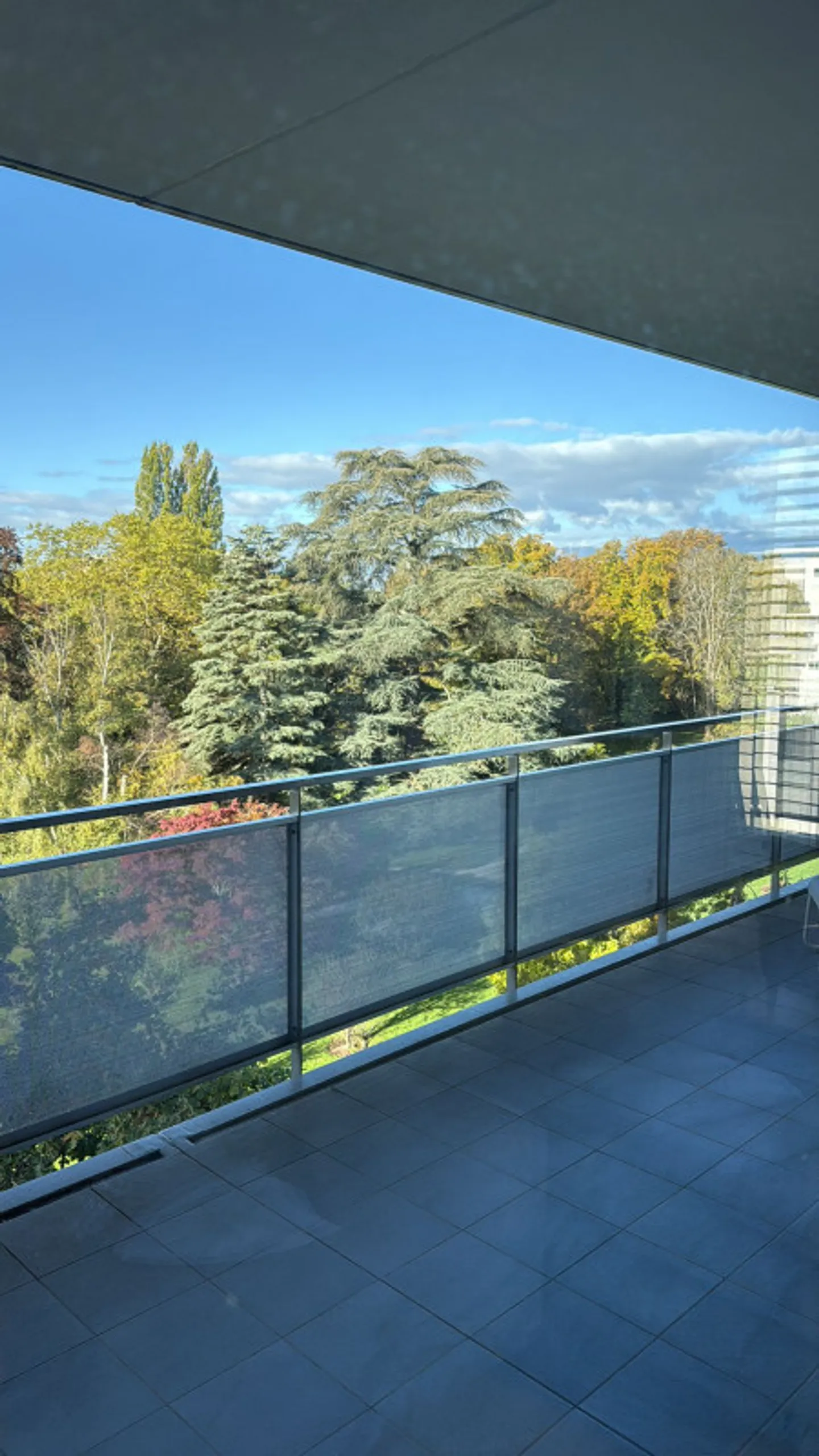 Appartamento in affitto - Foto 4 di 6