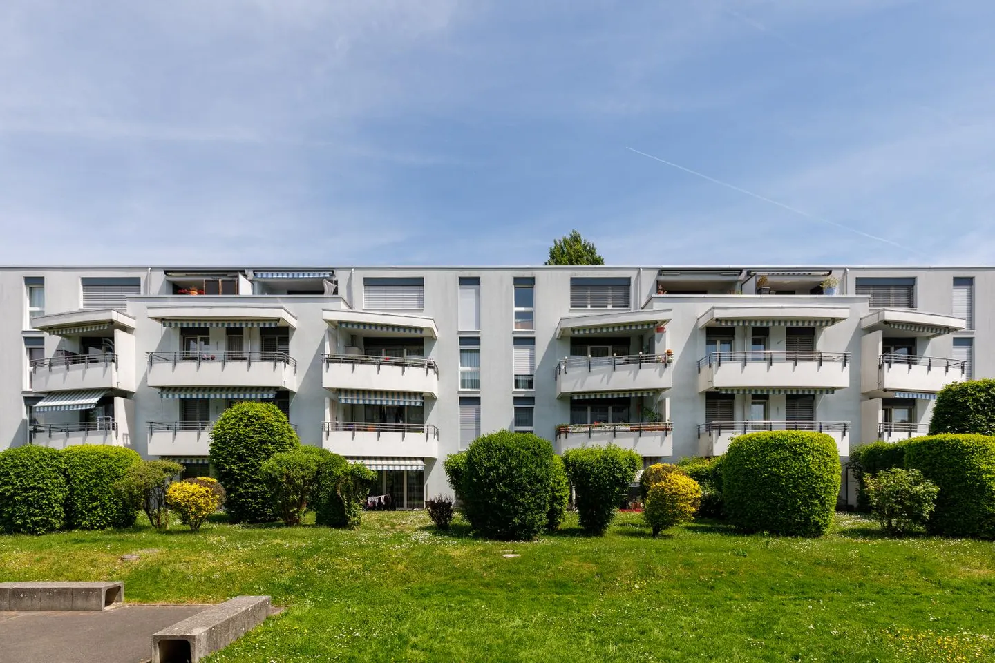 3.5 Room Apartment - Photo 3 of 5