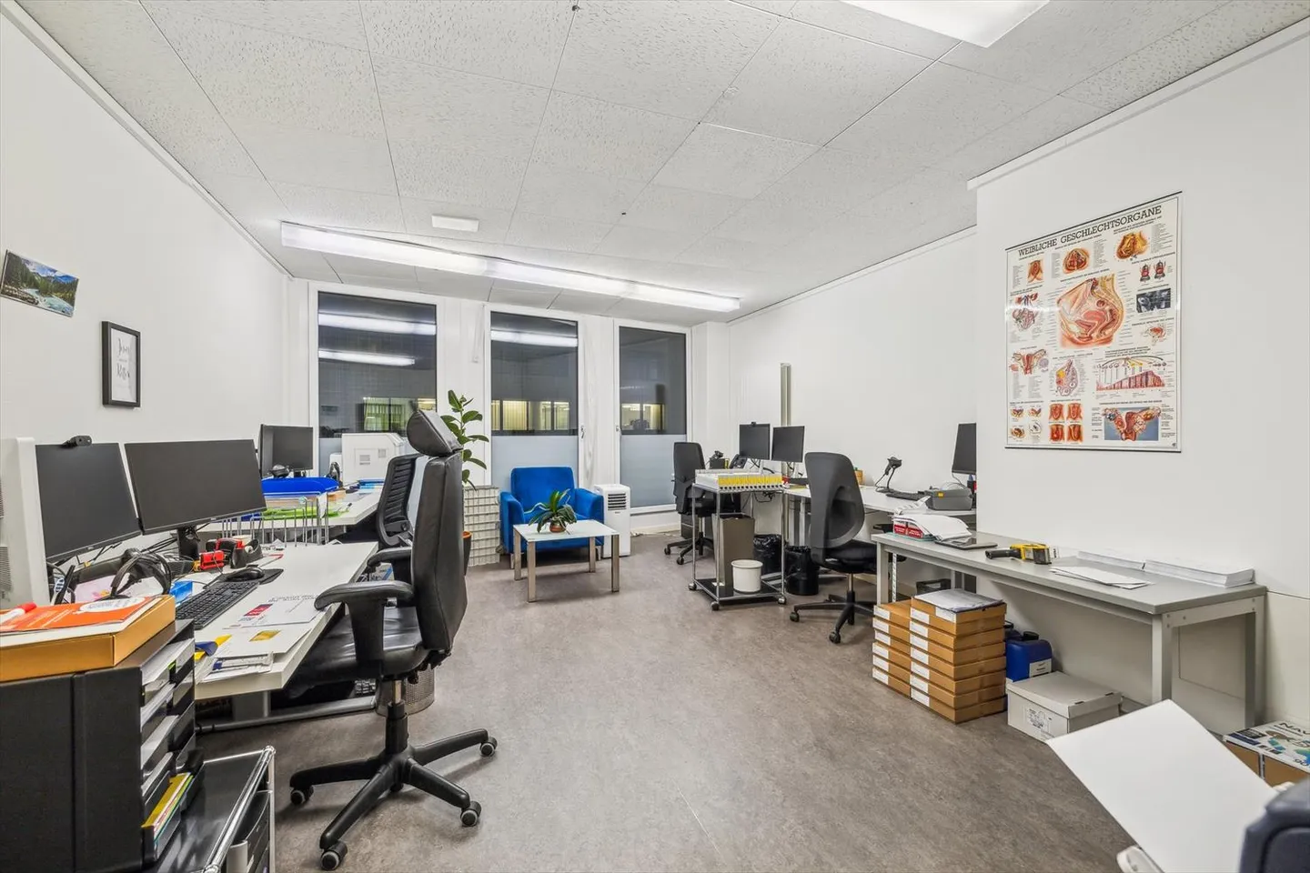 schöne helle Büroräume zwischen Bankverein und Aeschenplatz - Foto 5 von 8