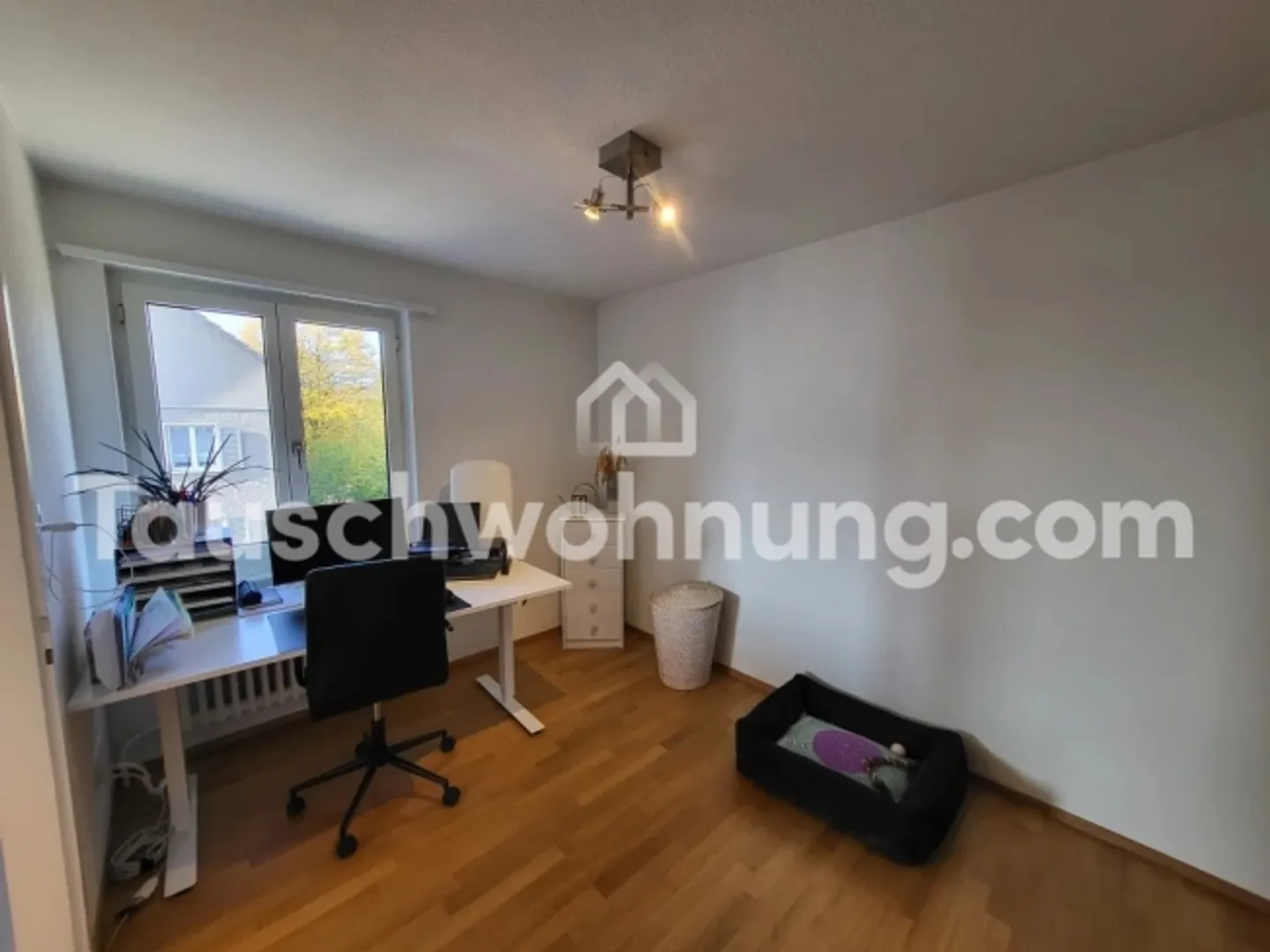 « 2.5 Zimmerwohnung in Albisrieden nähe Wald» - Foto 6 von 10