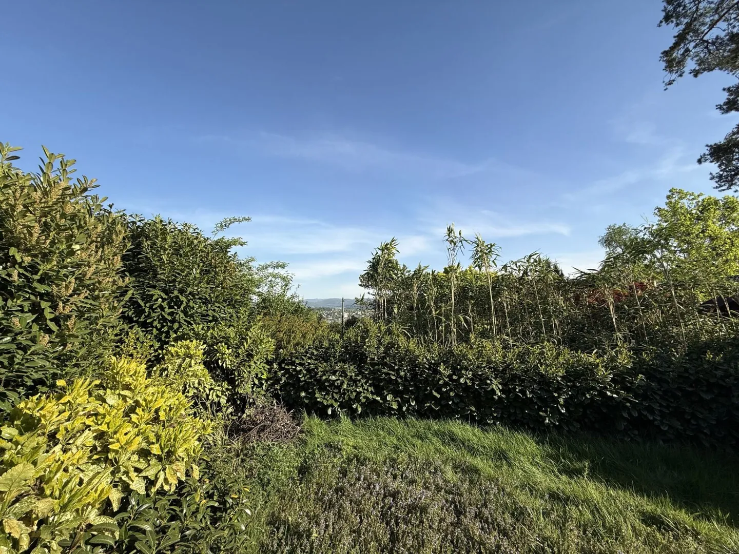 Nuovo progetto di costruzione - 4 case unifamiliari con 5 1/2 stanze, stanza hobby e vista panoramica in una posizione popolare a Leimental - Foto 11 di 12