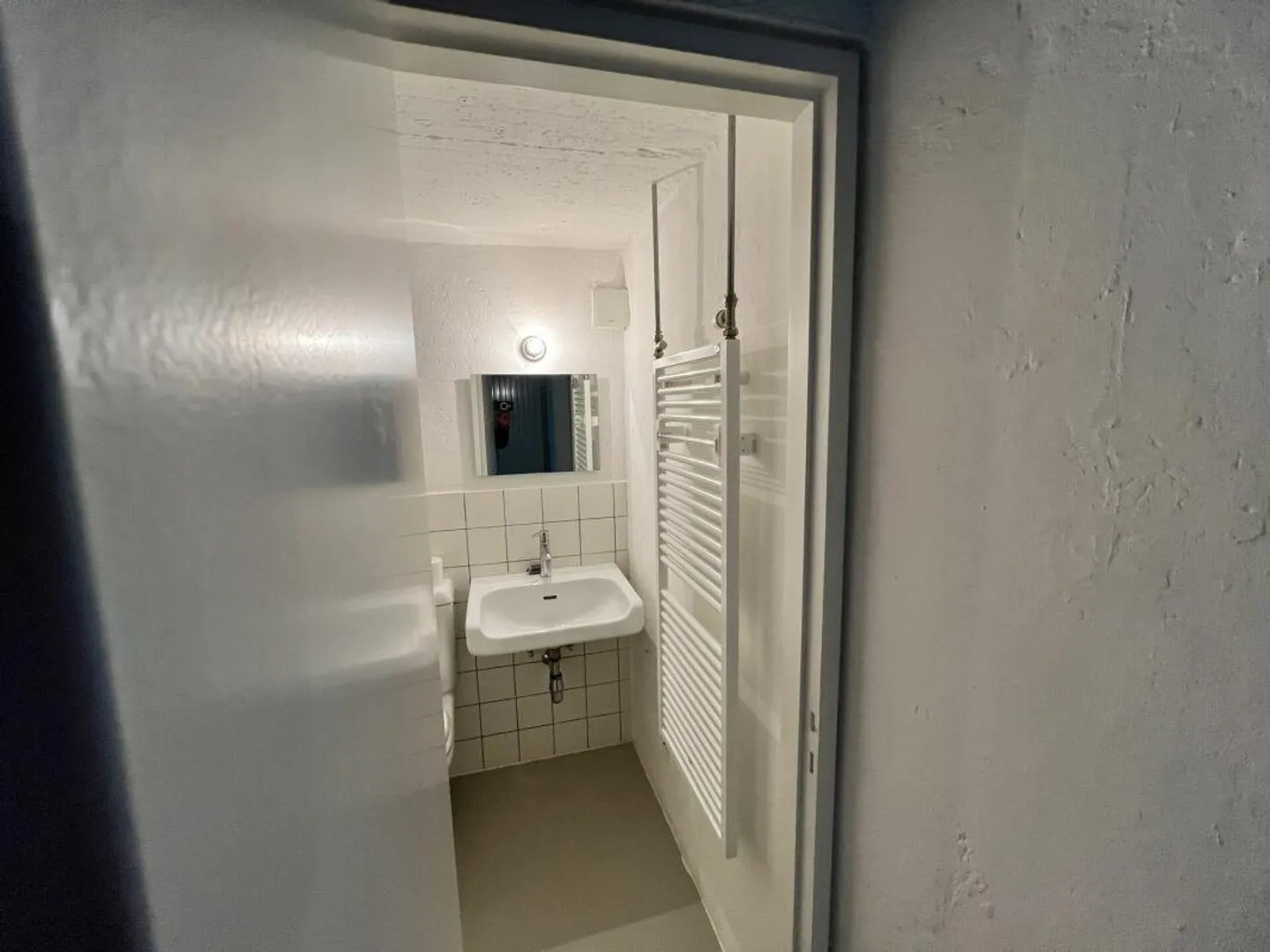 Loft Appartement Rez-de-Chaussée + Chambre - Photo 11 sur 13