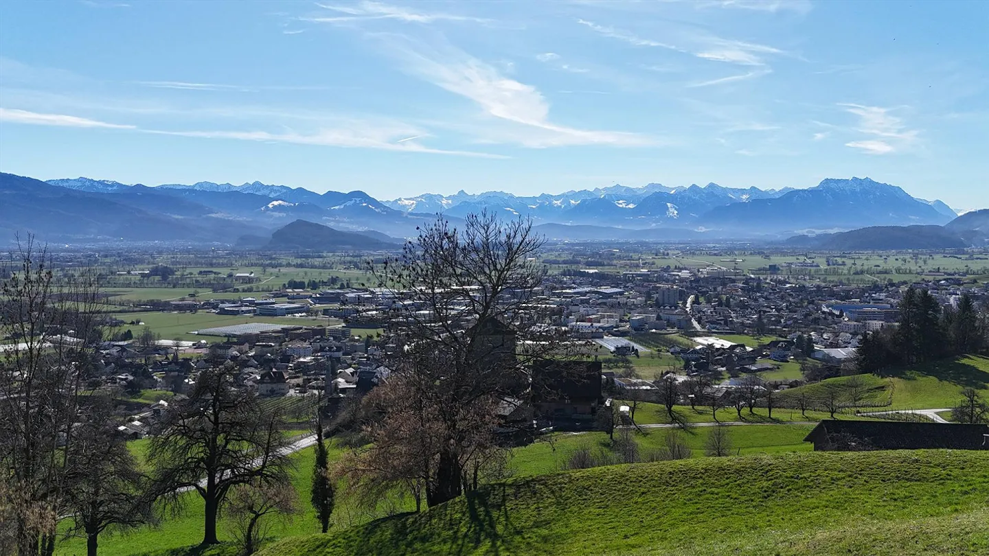 Living in the Green with Breathtaking Views - Photo 5 of 11