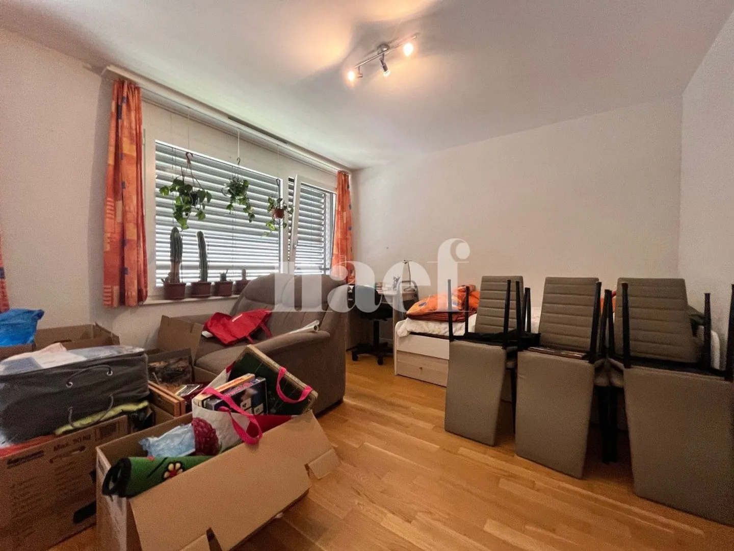 Appartamento 1.5 stanze - Foto 2 di 5