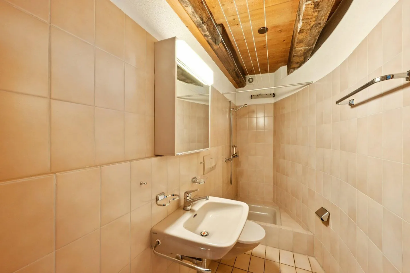 Spacious 4-room apartment with winter garden in Basel - Photo 10 of 11