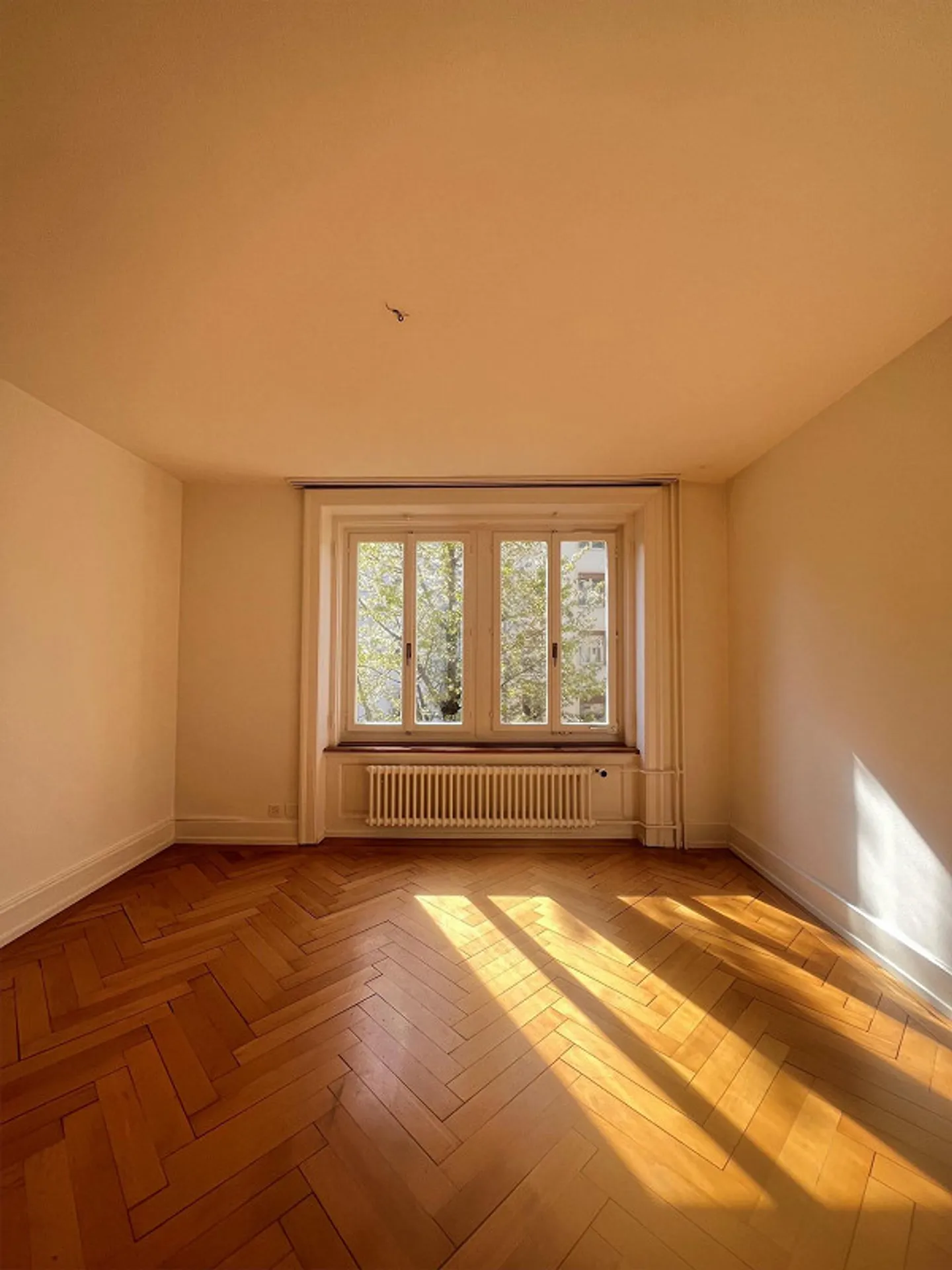 Temporary Old Building Apartment in Lucerne - Photo 5 of 9