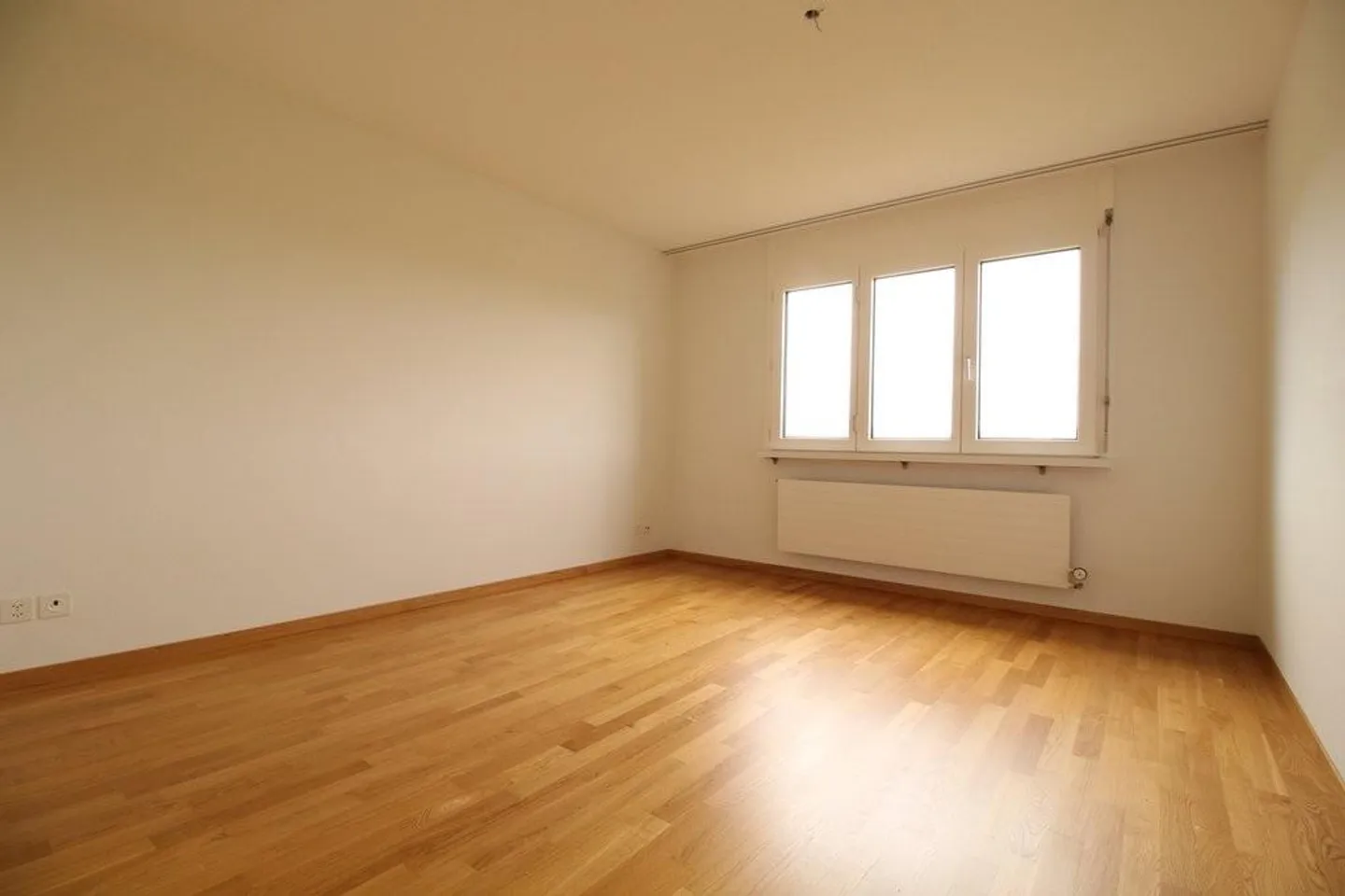 Living where the cherry blossoms bloom - Photo 6 of 10