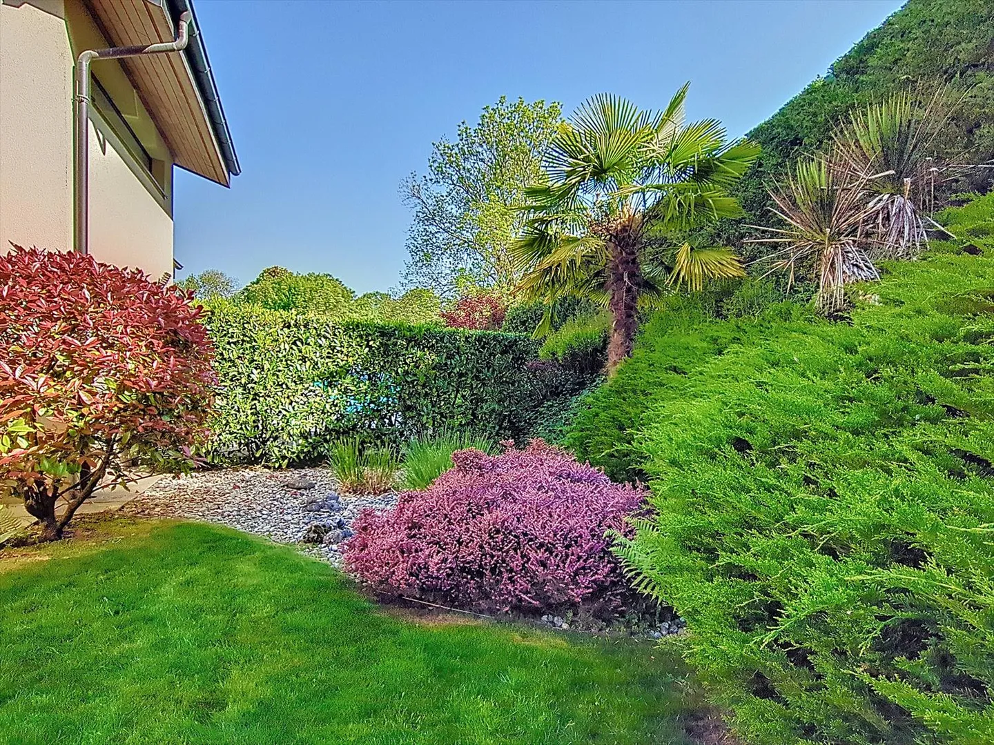 Villa 8,5 stanze - Foto 4 di 14