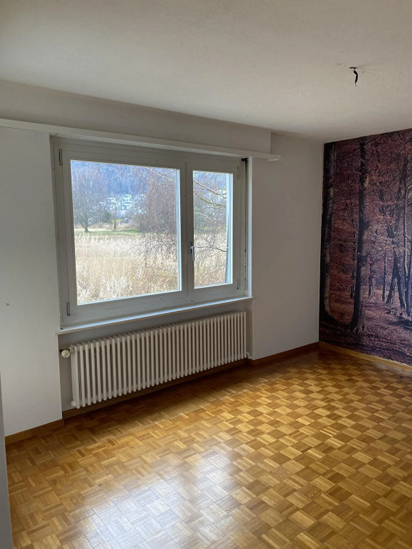 Charmante Altbauwohnung - Foto 3 von 13