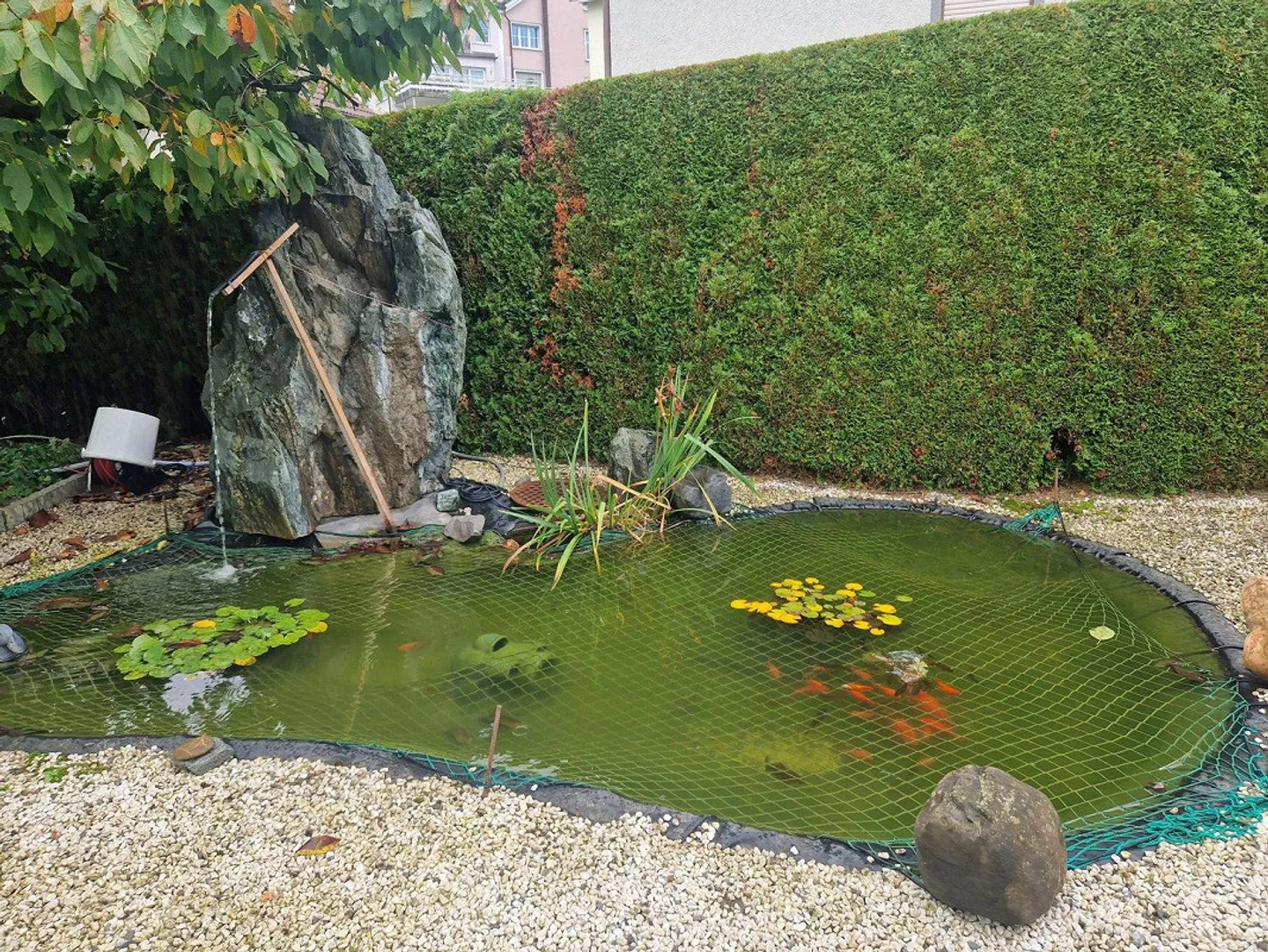 Charmante Wohnung mit Wellness-Oase - Foto 11 von 15