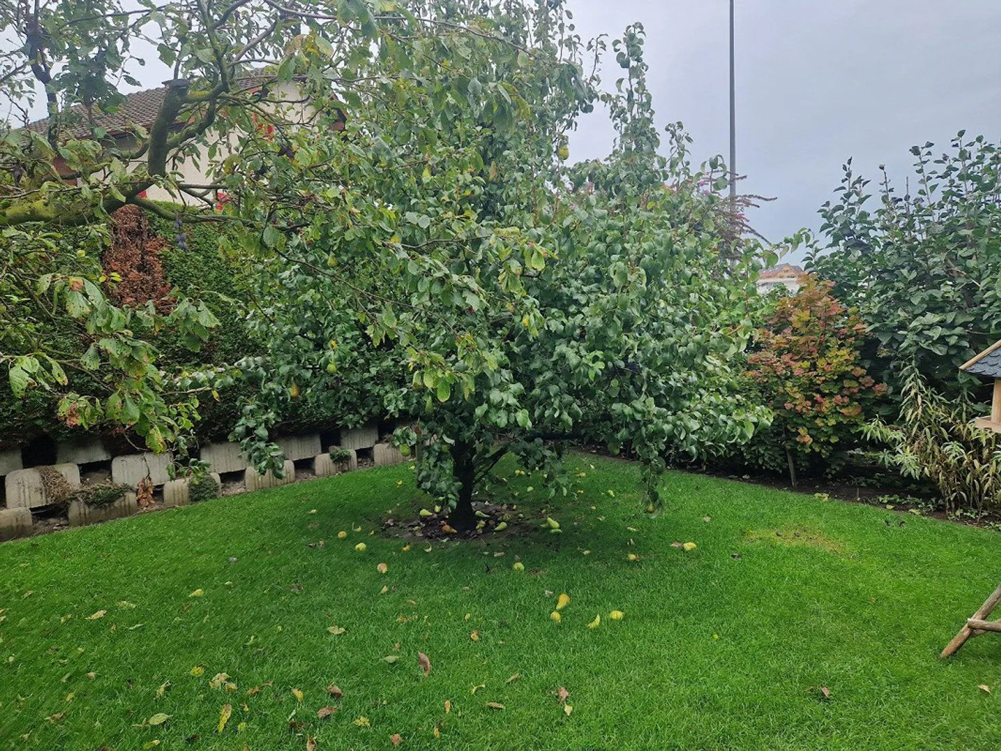 Charmante Wohnung mit Wellness-Oase - Foto 13 von 15