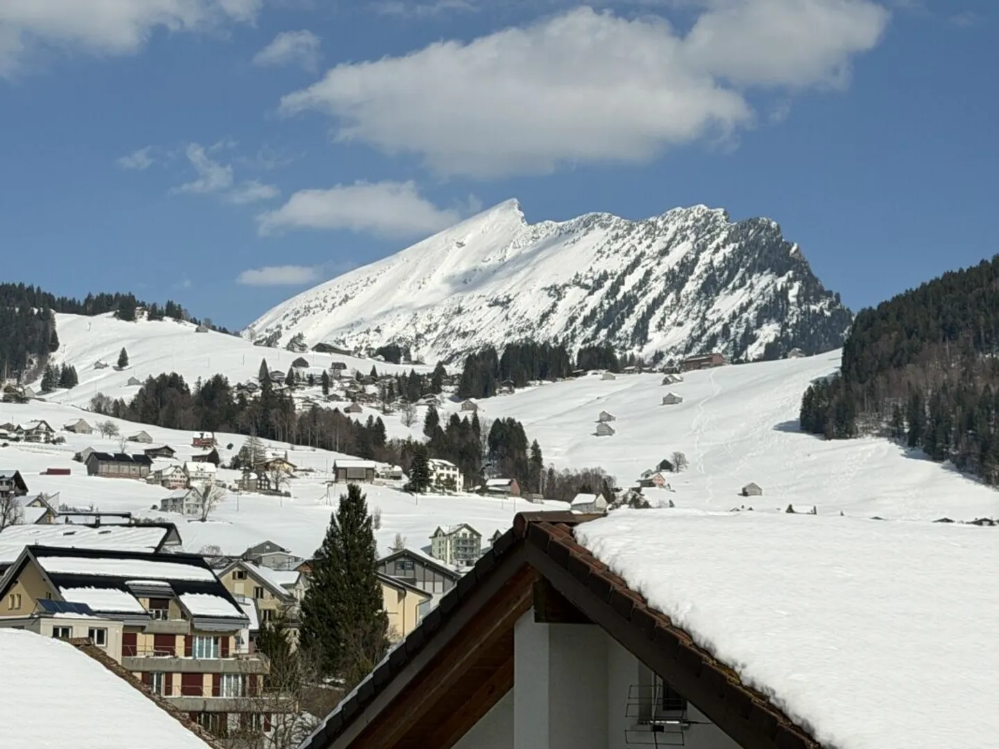 Ritiro tranquillo in un ambiente naturale - Foto 9 di 10