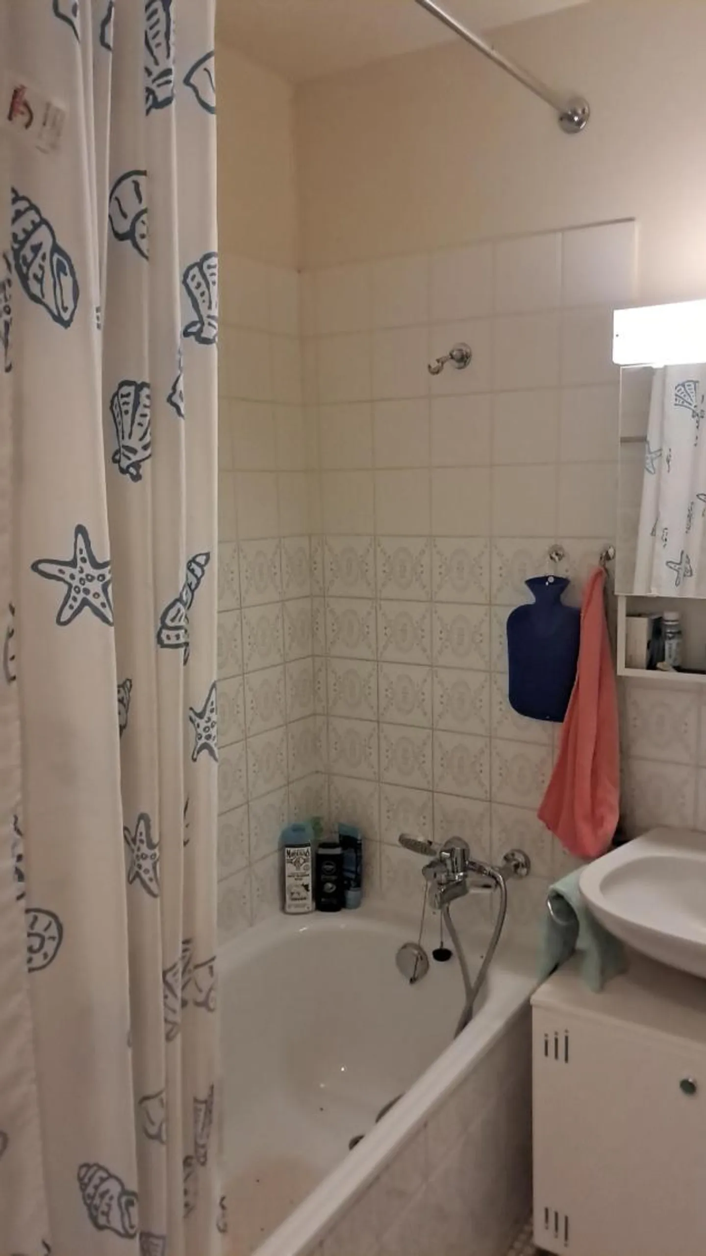 3.5 Room Apartment - Photo 6 of 8