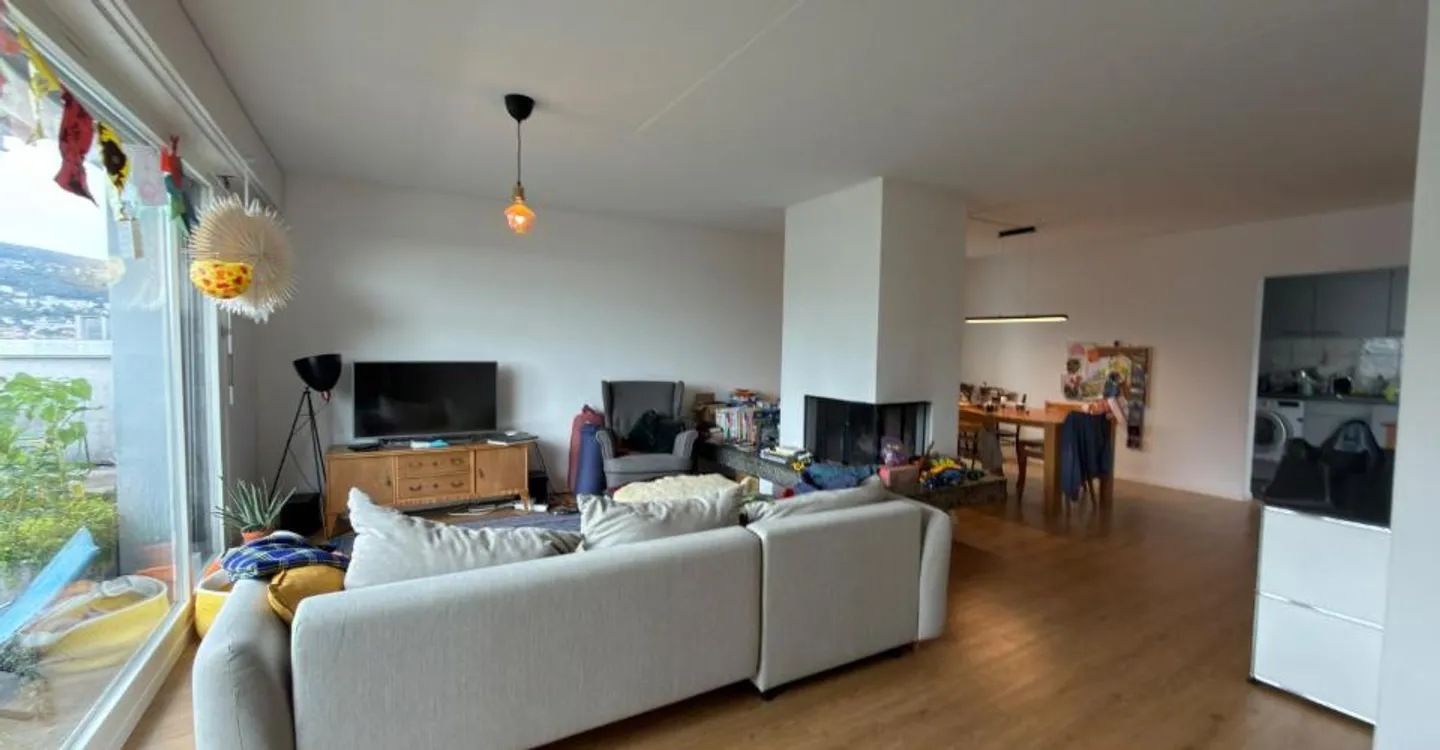 Spacious 4.5-room penthouse apartment with extensive panoramic terrace - Photo 1 of 12