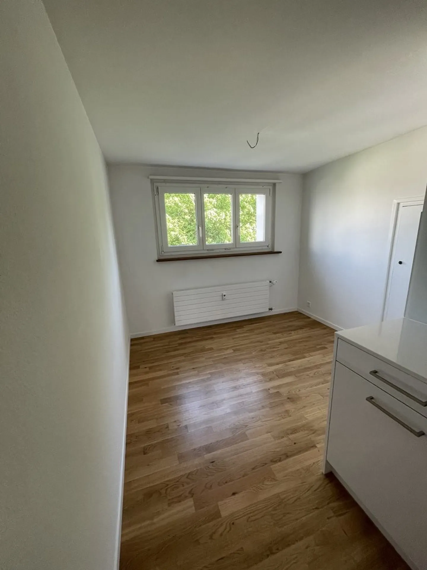 Renovated Attic Apartment in 2021 - Photo 4 of 11