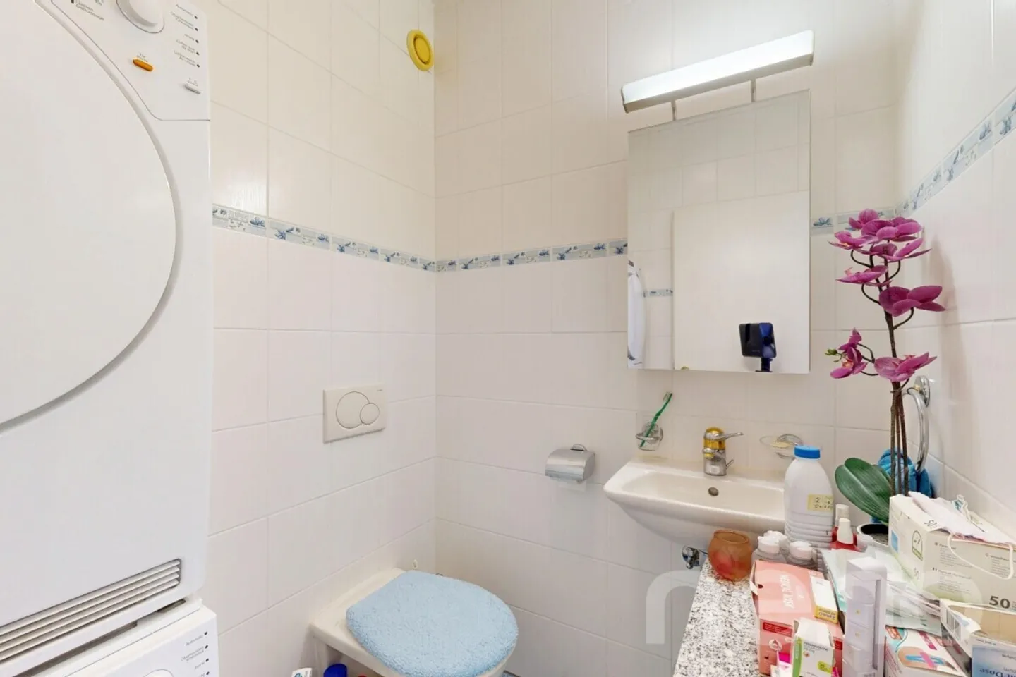 Located in the heart of Châtelaine - Photo 11 of 12