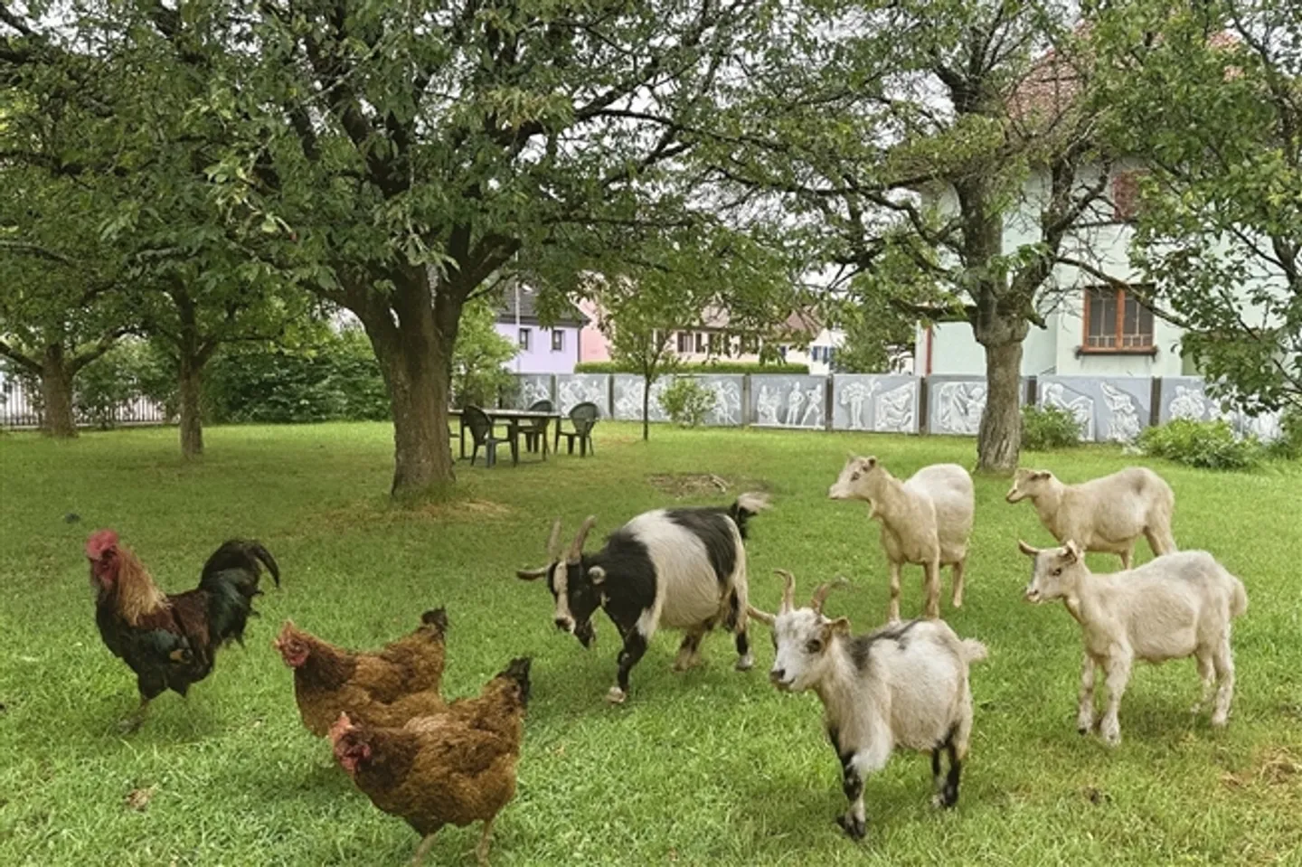 Casa con carattere e fascino a Vendlincourt. - Foto 2 di 13