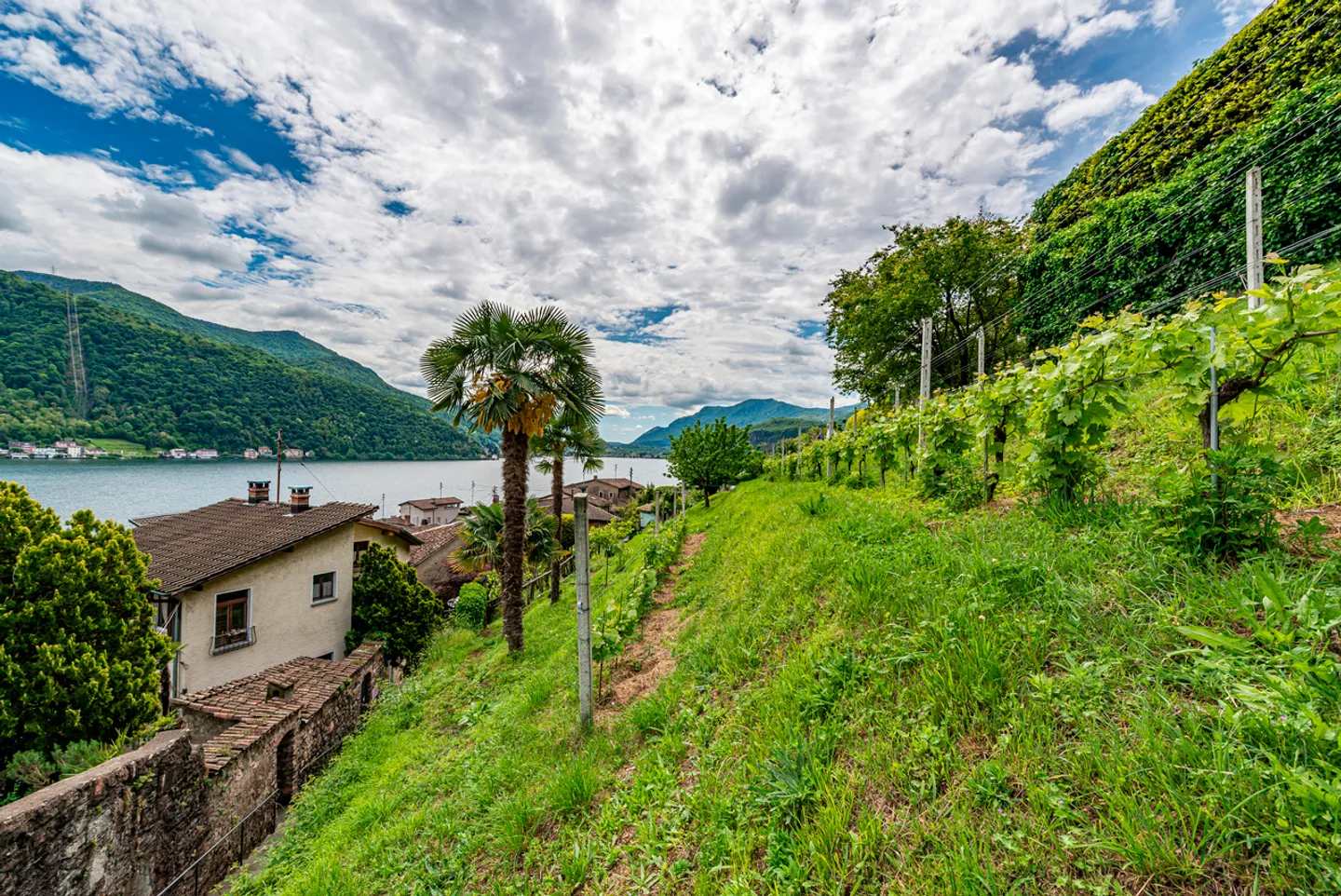 Einfamilienhaus kaufen - Foto 26 von 30