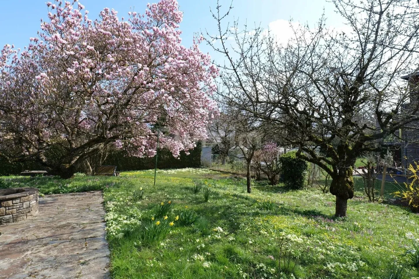 Maison individuelle avec spacieux jardin bucolique - Photo 6 sur 11