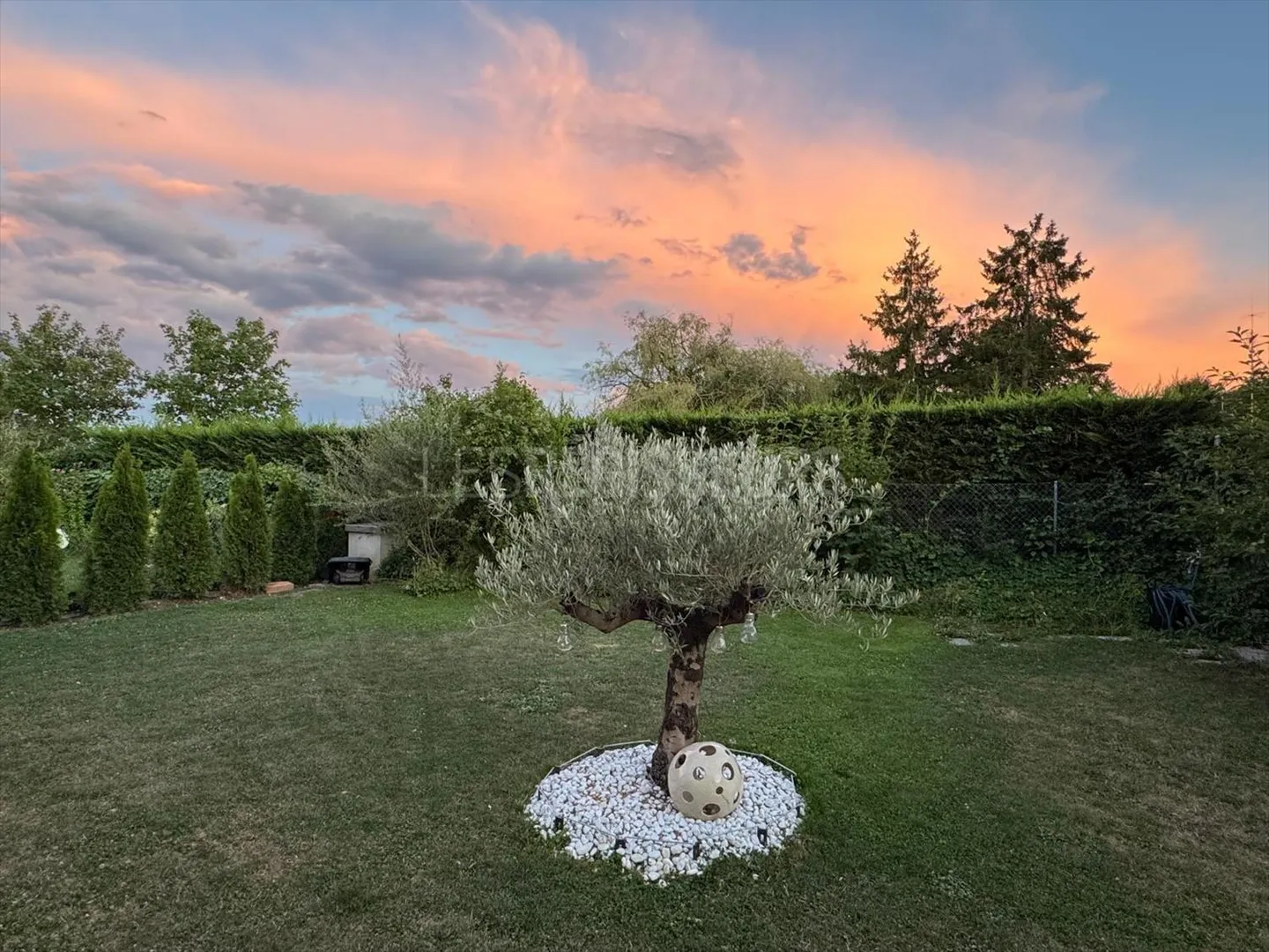 Appartamento 5.5 stanze - Foto 6 di 7