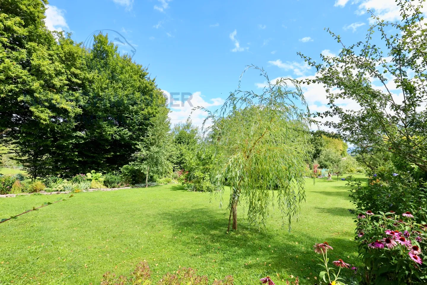 Casa singola in vendita - Foto 19 di 25