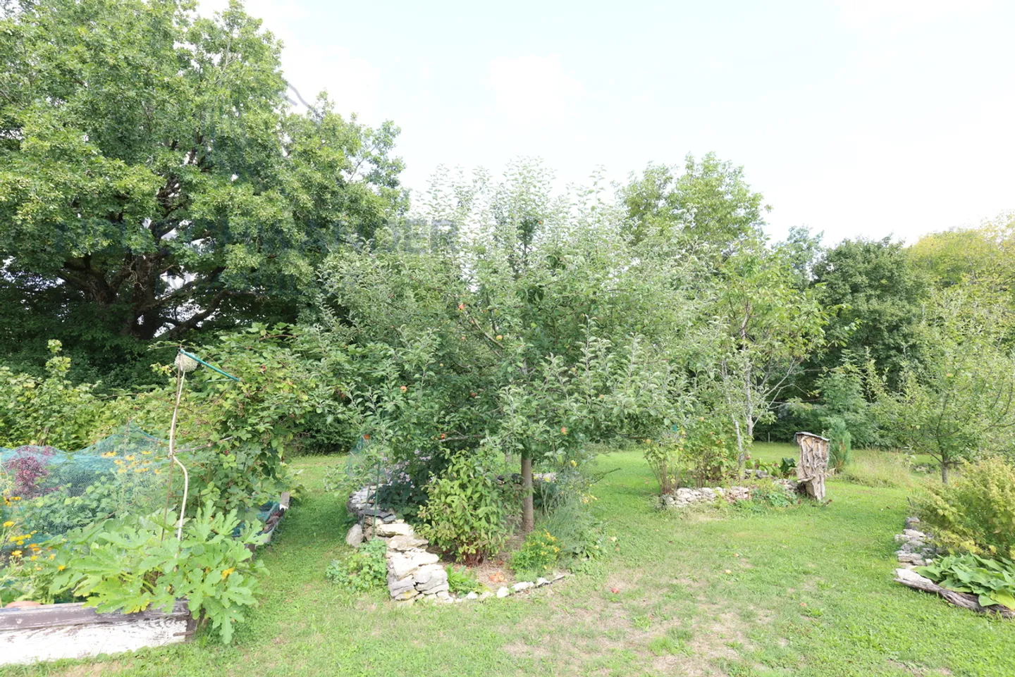 Casa singola in vendita - Foto 20 di 25
