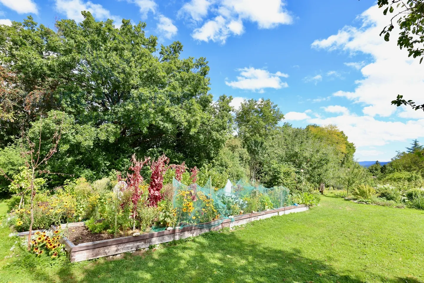Casa singola in vendita - Foto 22 di 25