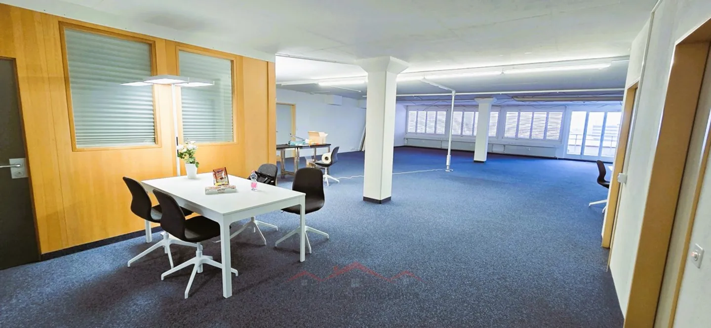 Büroflächan - Basel Stadt- Dreispitz - Foto 7 von 13