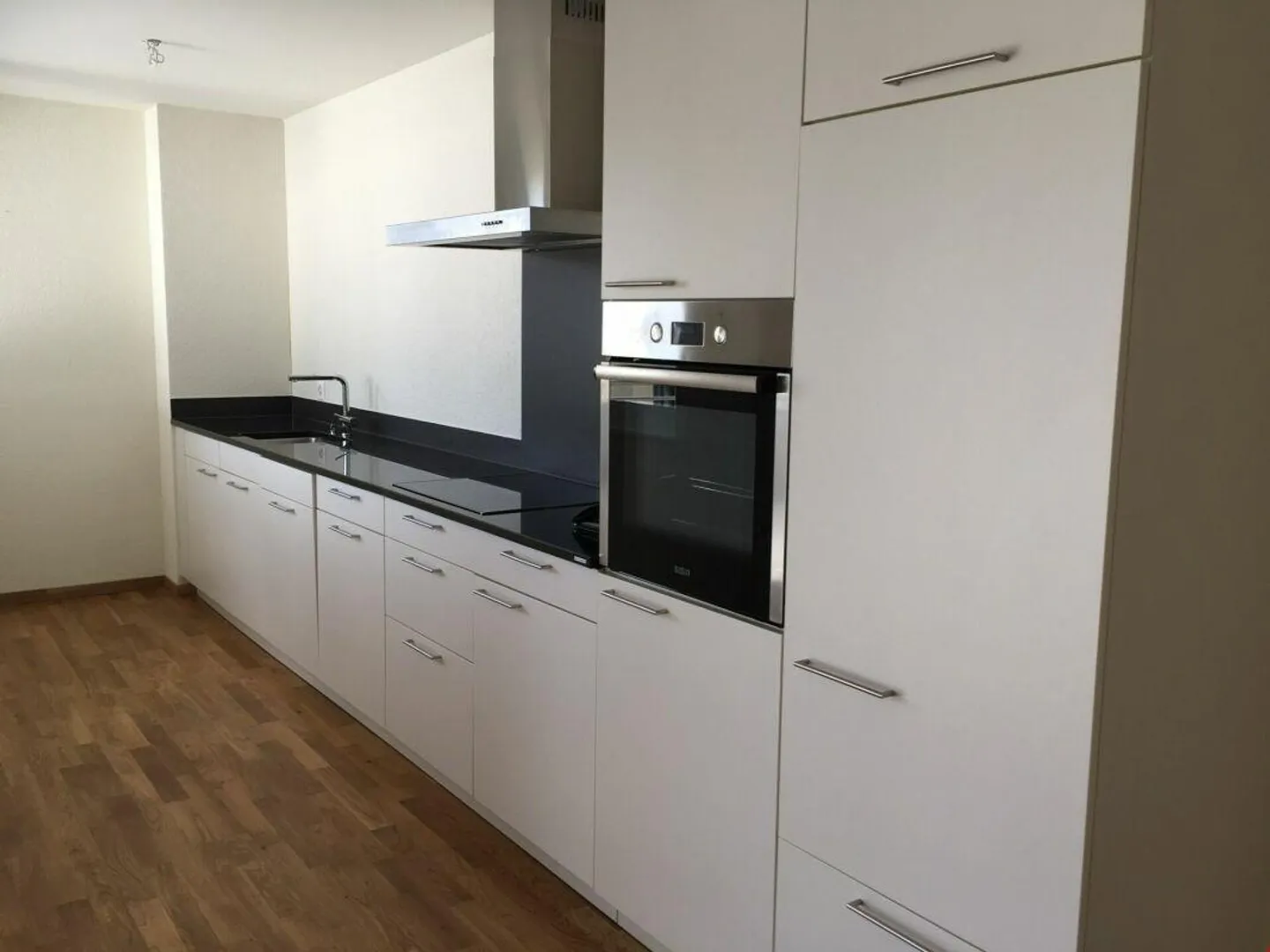 Bright 3.5 Room Apartment with Large Balcony - Photo 3 of 9