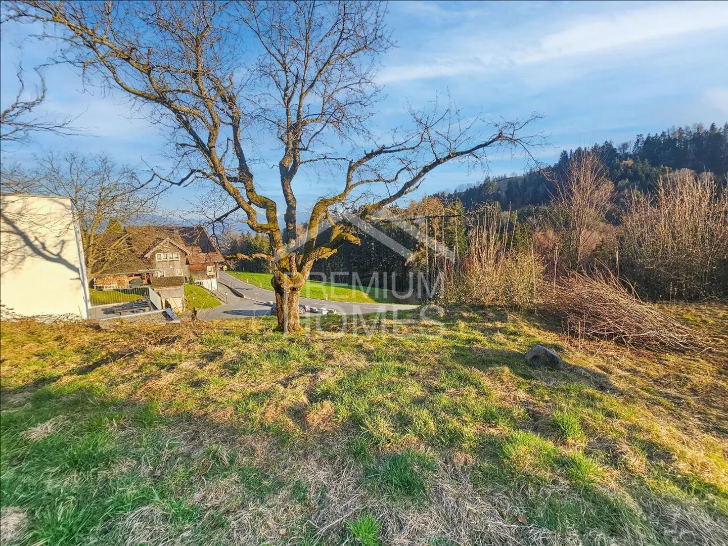 Realizza i tuoi sogni - Foto 1 di 3