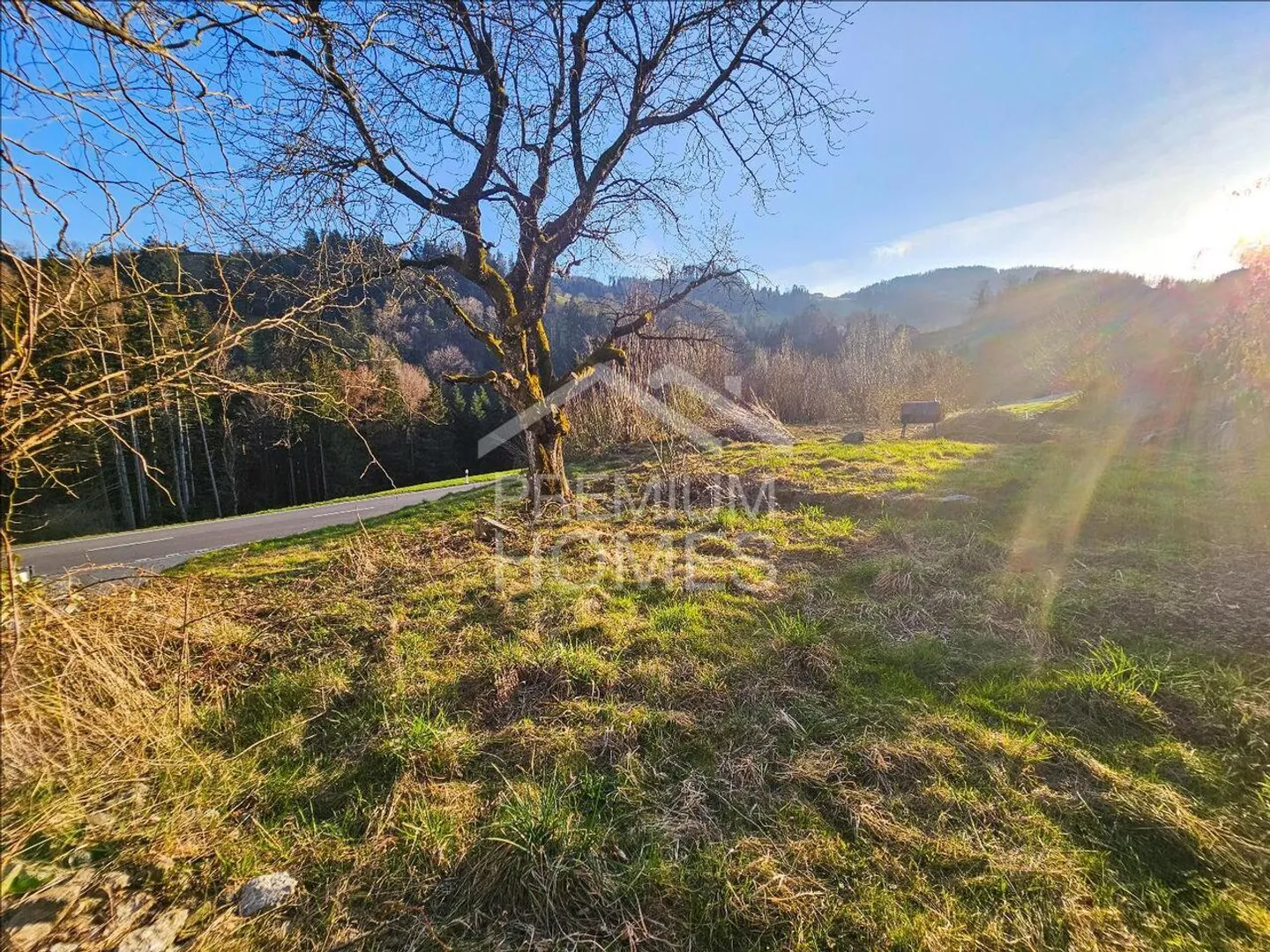 Realizza i tuoi sogni - Foto 2 di 3