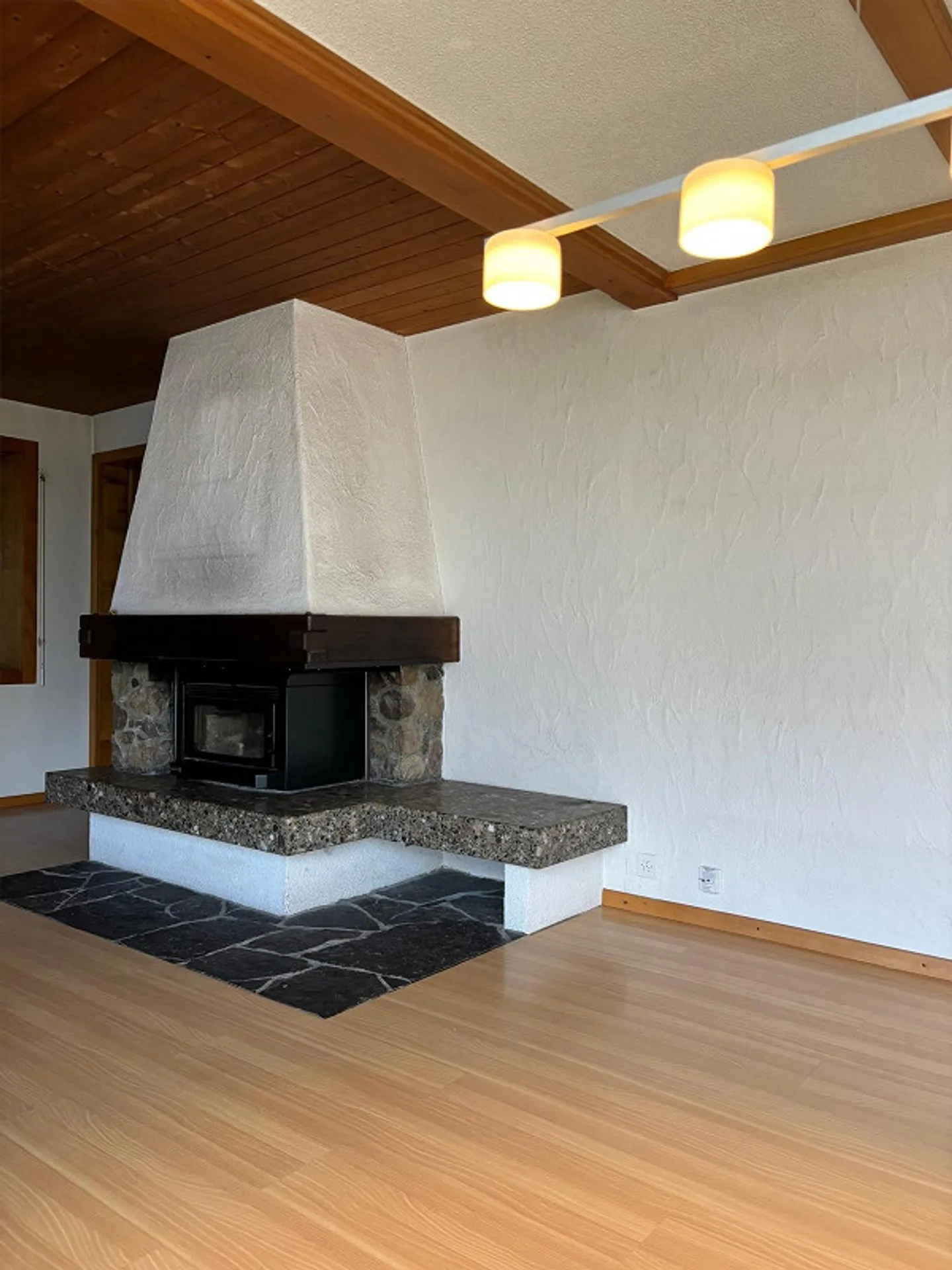 Single-family house 4.5 rooms + 2-room apartment in the attic - Photo 6 of 9