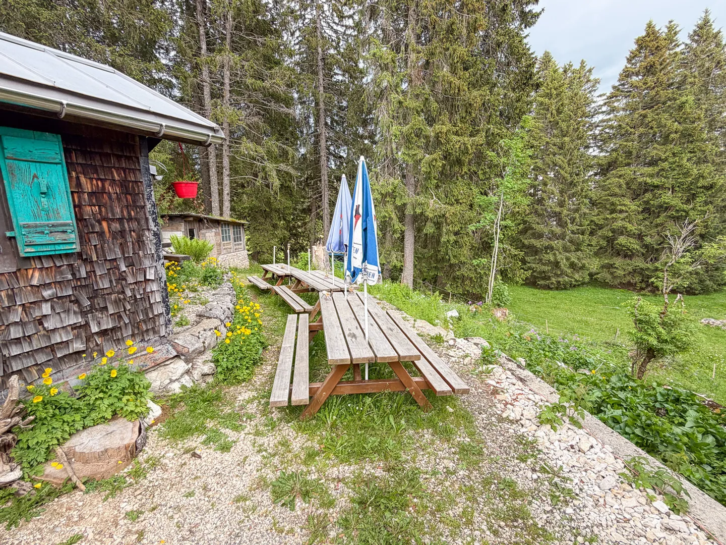Alpine Refreshment Bar in the Heart of Nature - Photo 18 of 20