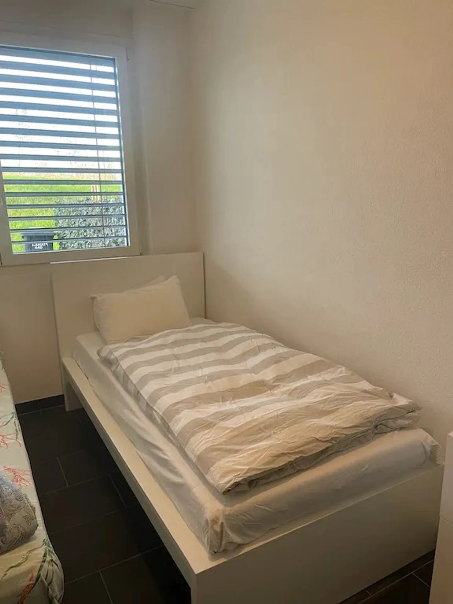 Casa singola in affitto - Foto 2 di 5