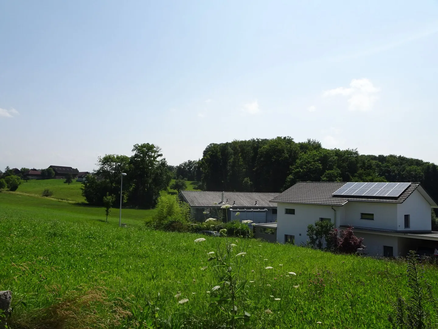 Sonniges Bauland in Menziken - Foto 3 von 11