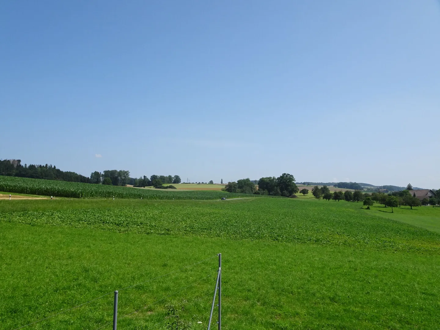 Sonniges Bauland in Menziken - Foto 5 von 11