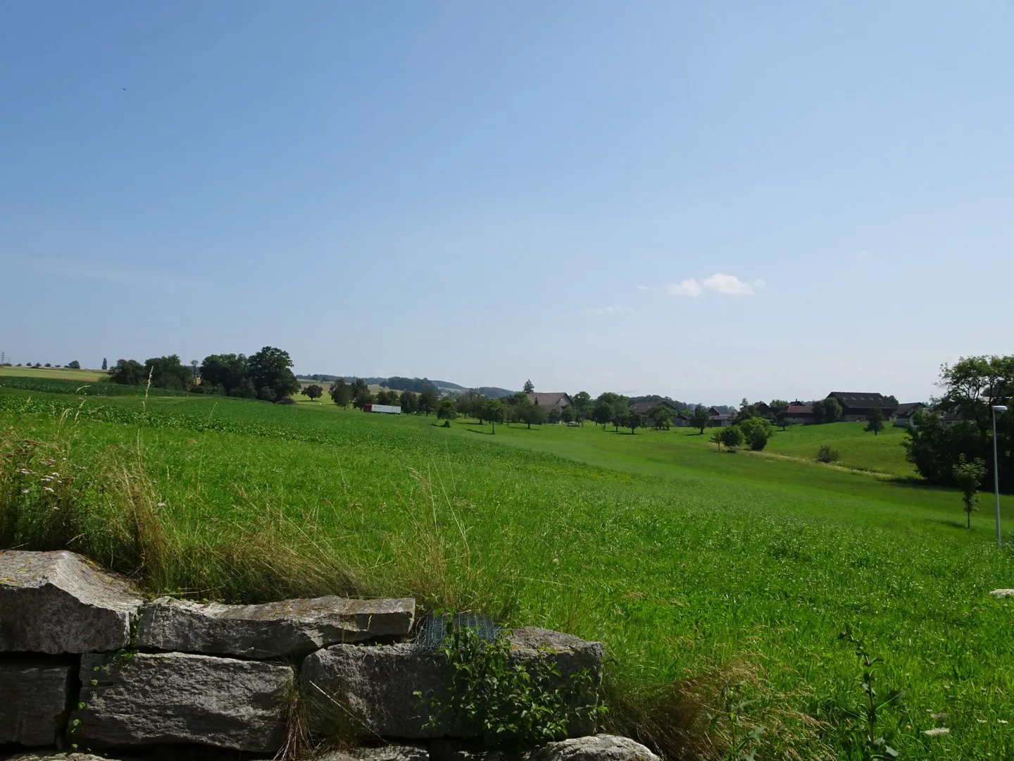 Sonniges Bauland in Menziken - Foto 8 von 11