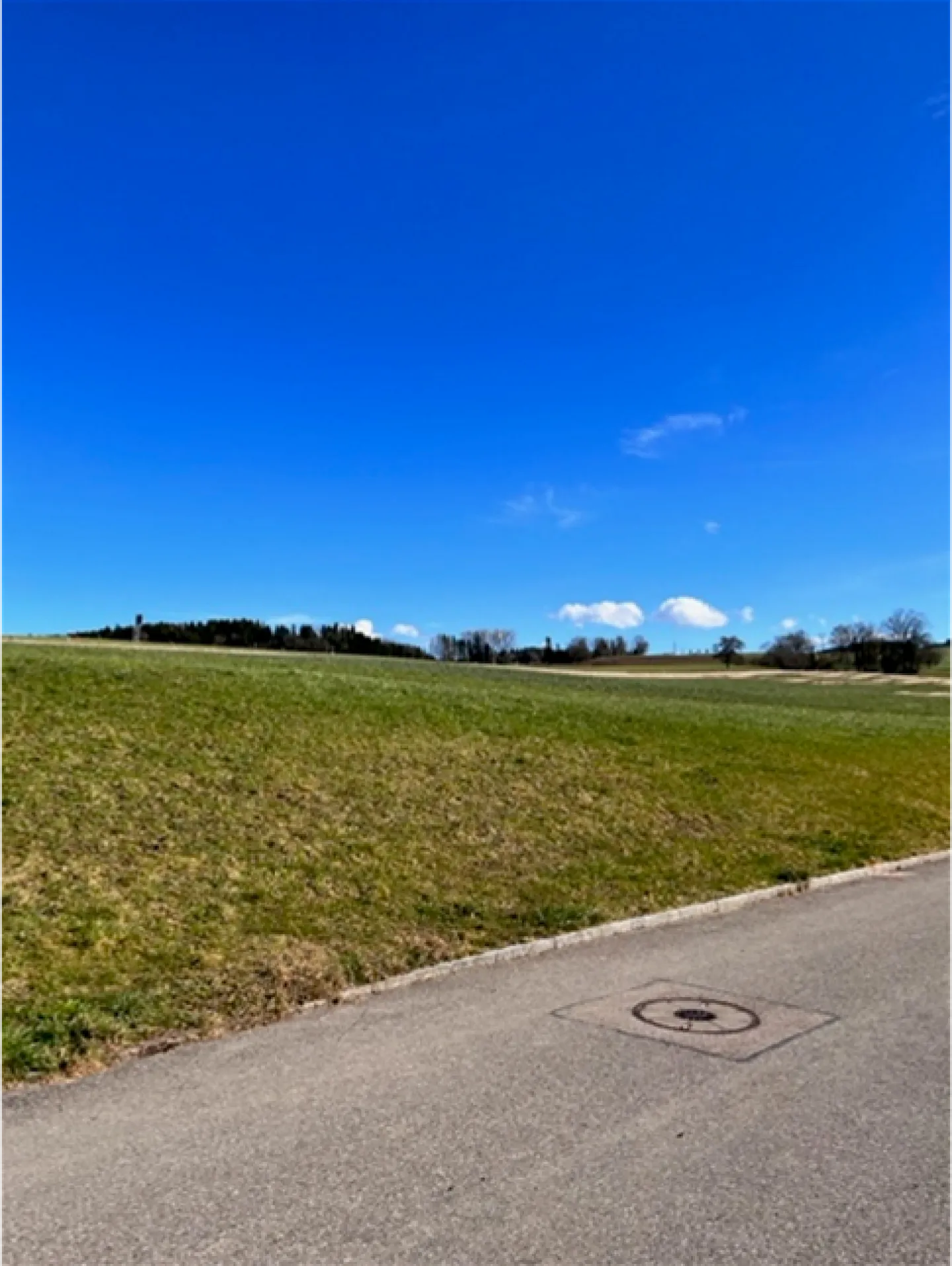 Sonniges Bauland in Menziken - Foto 11 von 11