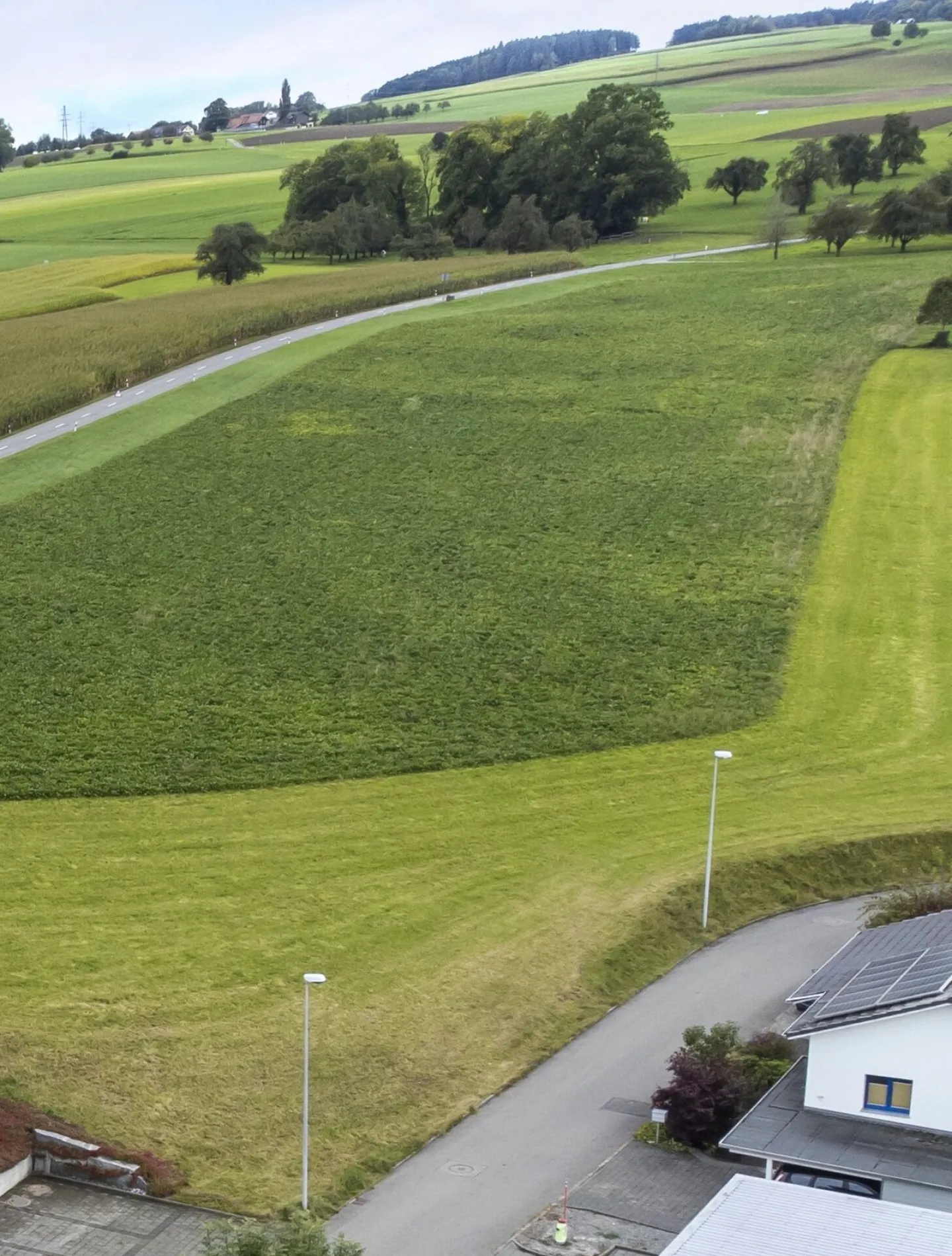 Sonniges Bauland in Menziken - Foto 10 von 11