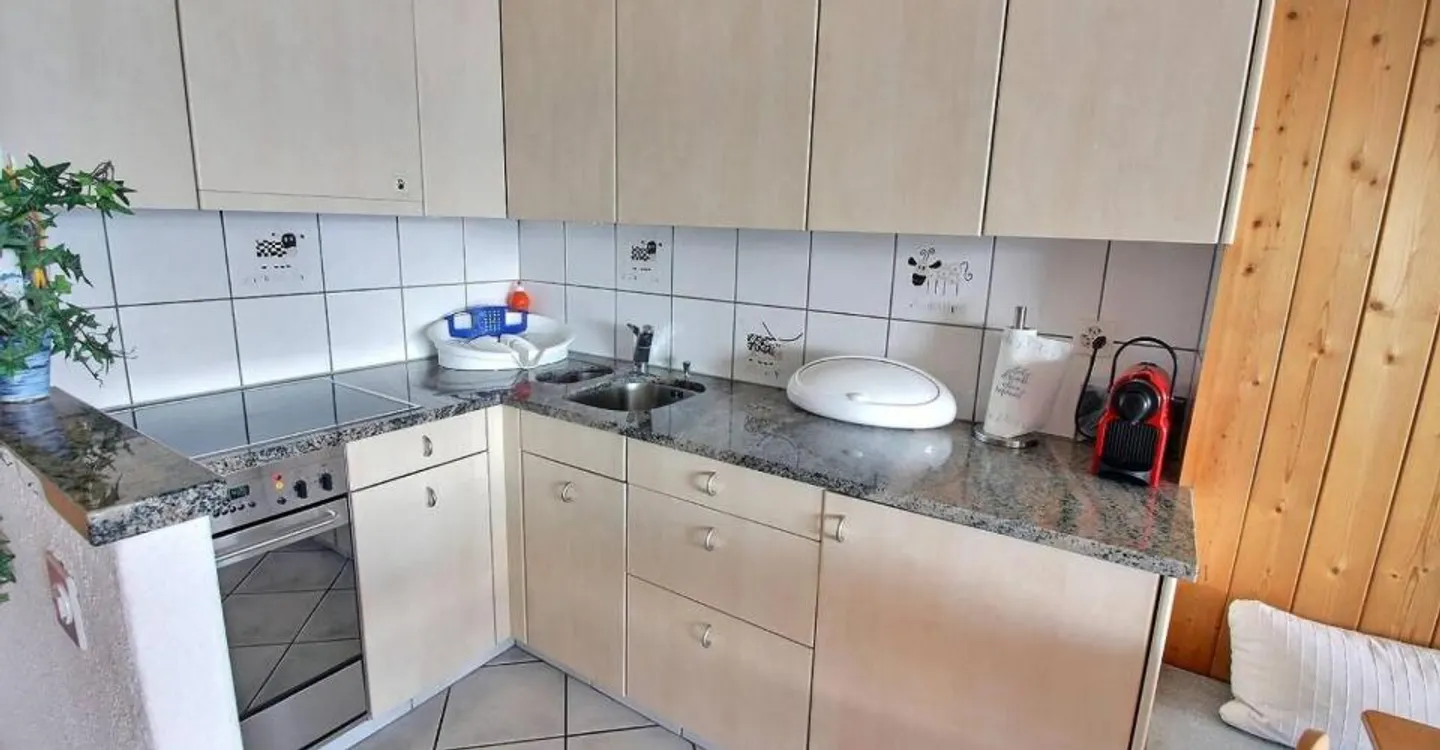 Charmant Appartement Alpin - Photo 4 sur 11