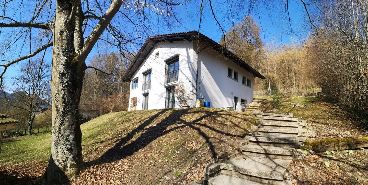 Price drop: renovated house with large plot, veranda, 2 terraces, 2 garages - Photo 4 of 42