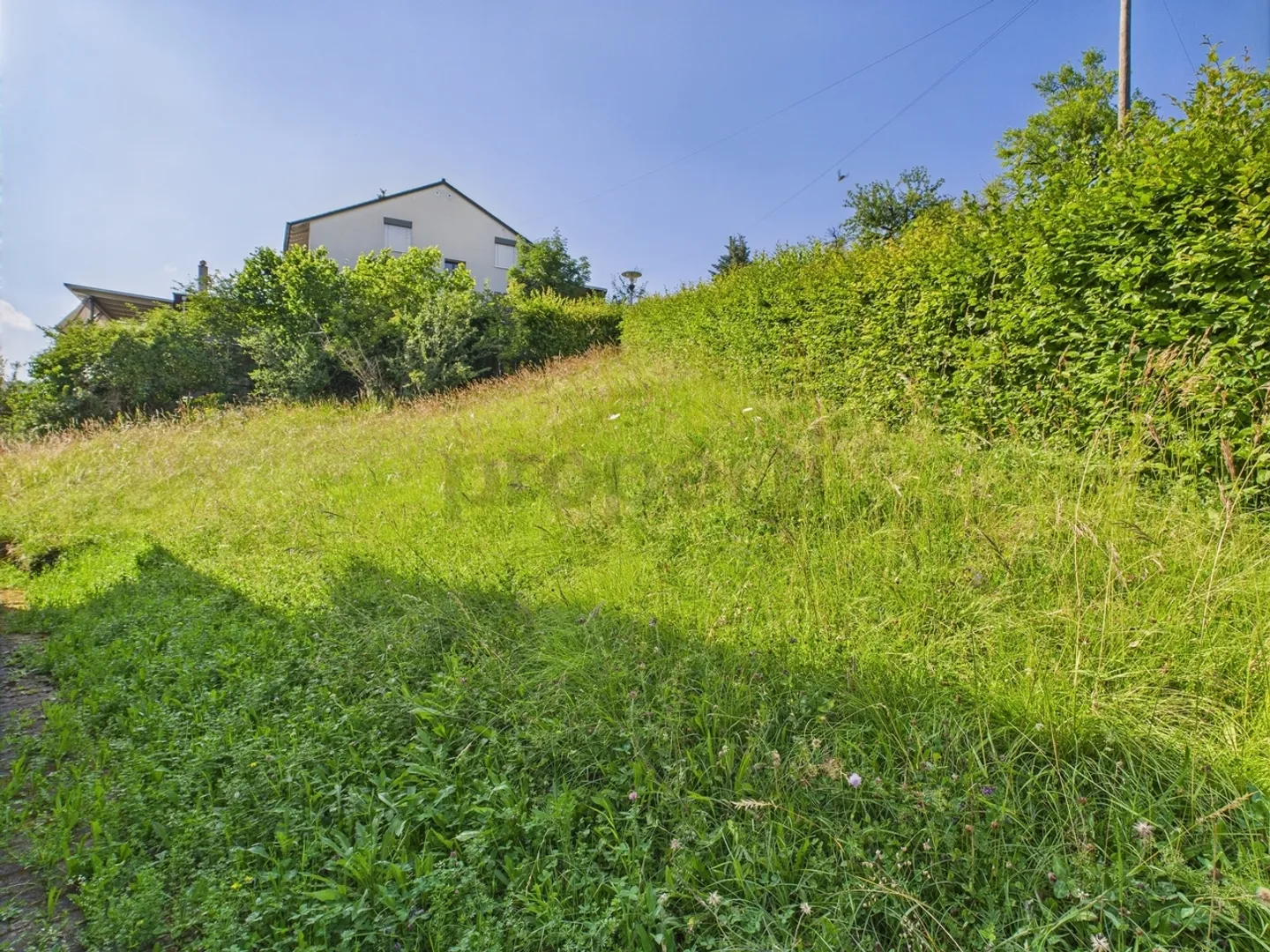 Bebautes Grundstück in Wölflinswil - Foto 5 von 12