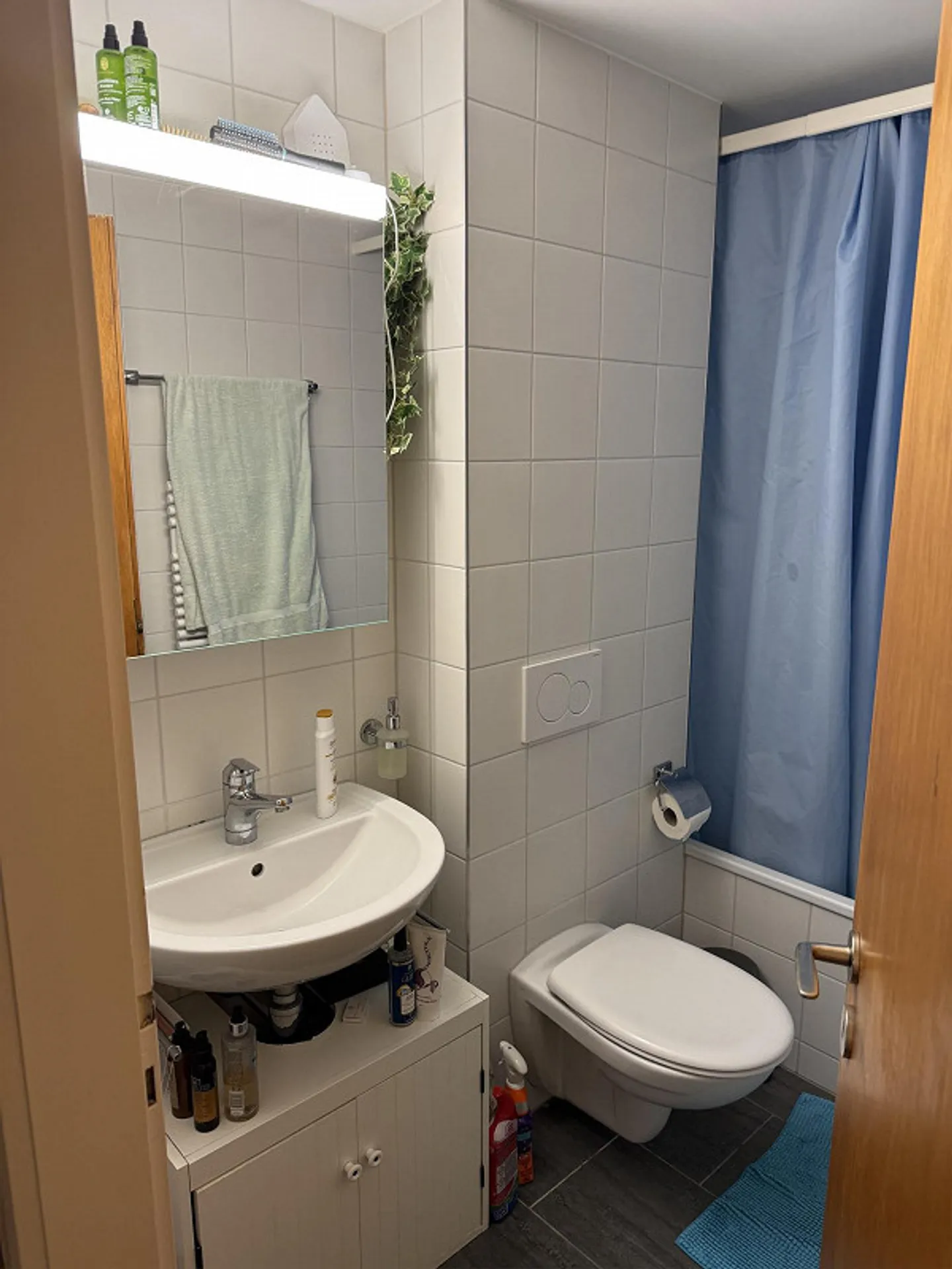 Bright 3.5 Room Apartment with Beautiful Balcony - Photo 2 of 7