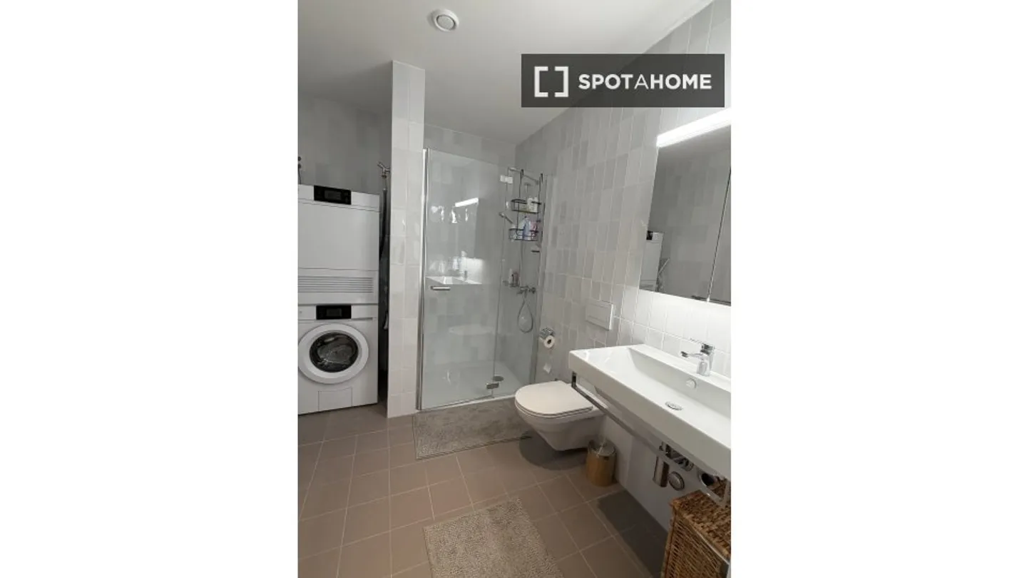 Charming Apartment in Zurich - Photo 5 of 5