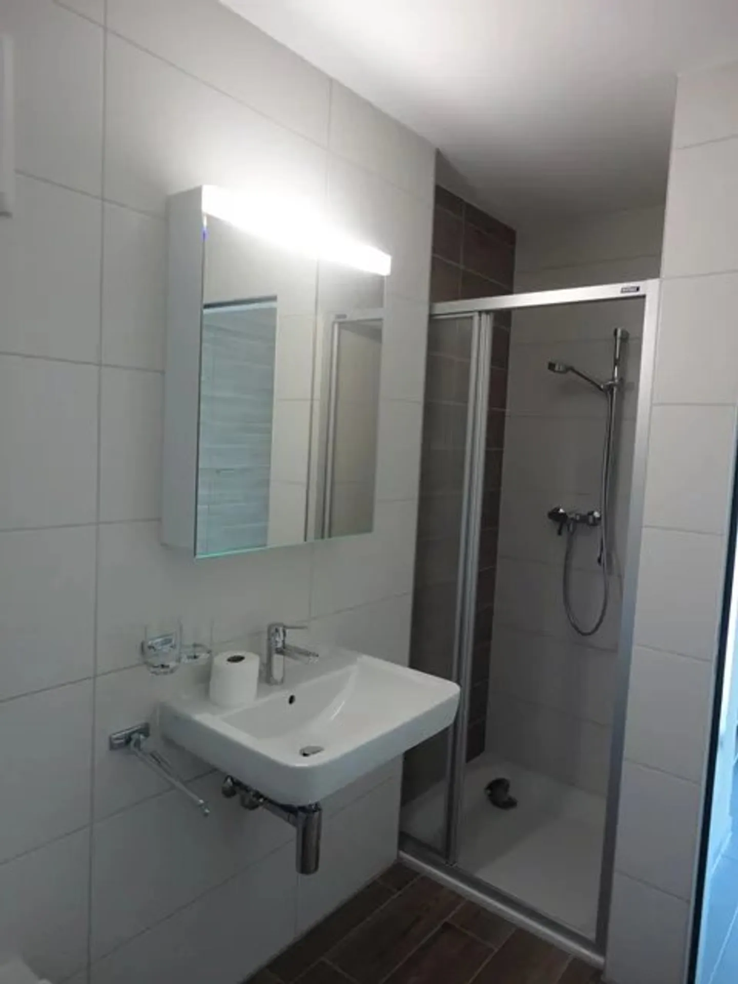 Duplex 5.5 pièces - Photo 3 sur 6