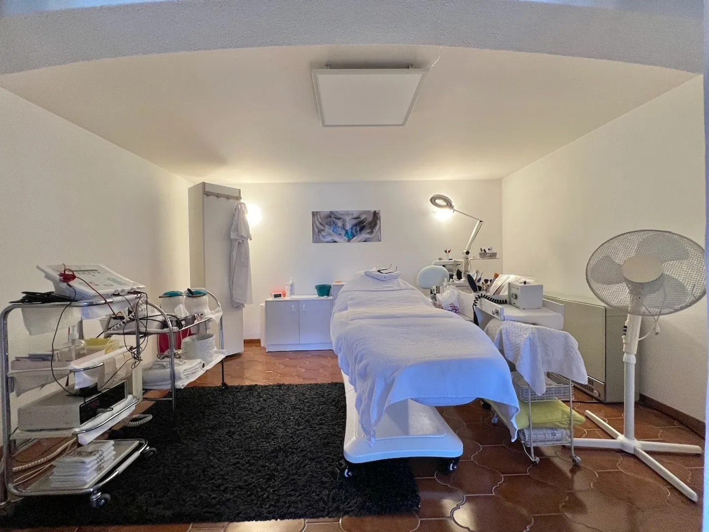 Renovated Farm with Breathtaking Views of Châtel-St-Denis - 2 Apartments - Photo 12 of 17