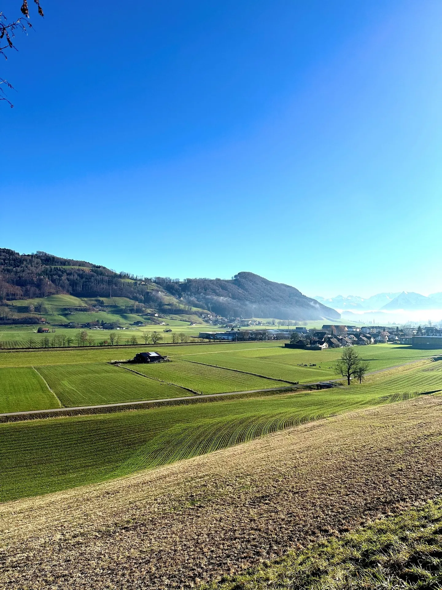 Neubau 4 1/2-Zi-Whg. (Nr. 16) mit Galerie - Bernstrasse 48 in Toffen - Foto 25 von 27