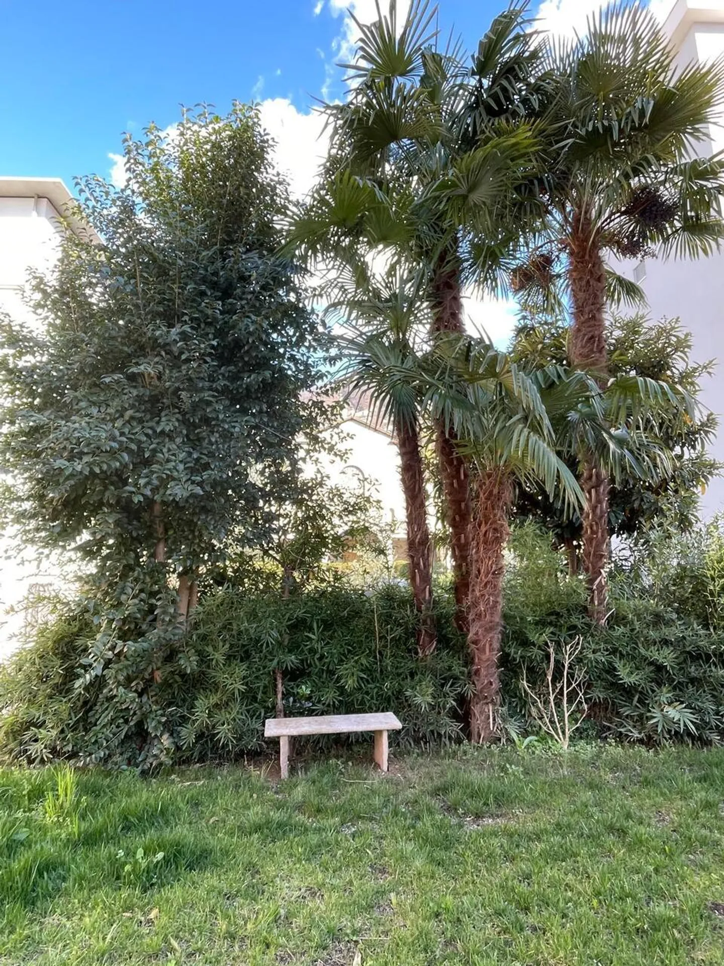 Chambre Viganello - 1 pièce - Foto 7 di 7