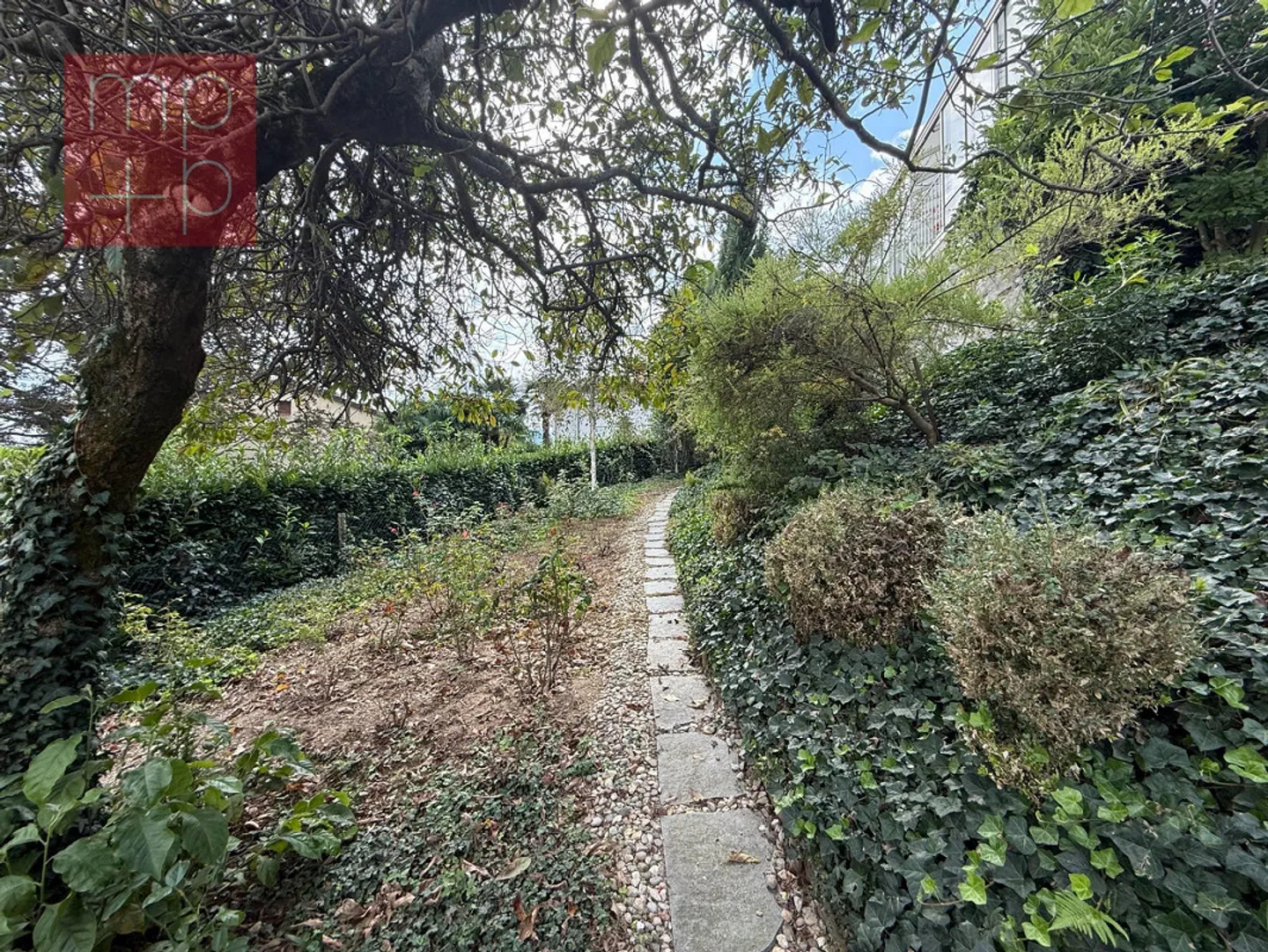 Land for construction - Pura - Photo 6 of 8