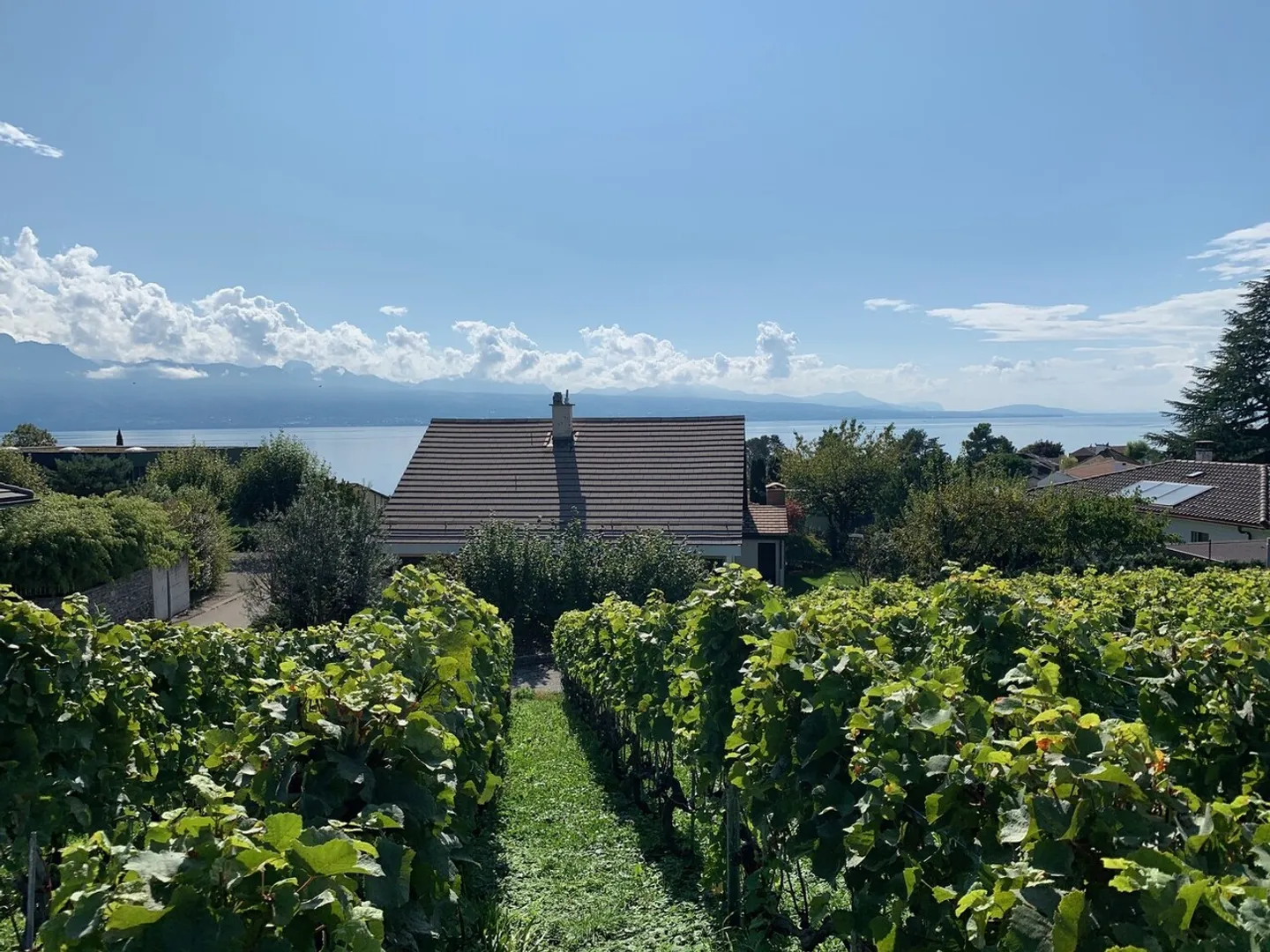 Villa à louer - Photo 1 sur 13